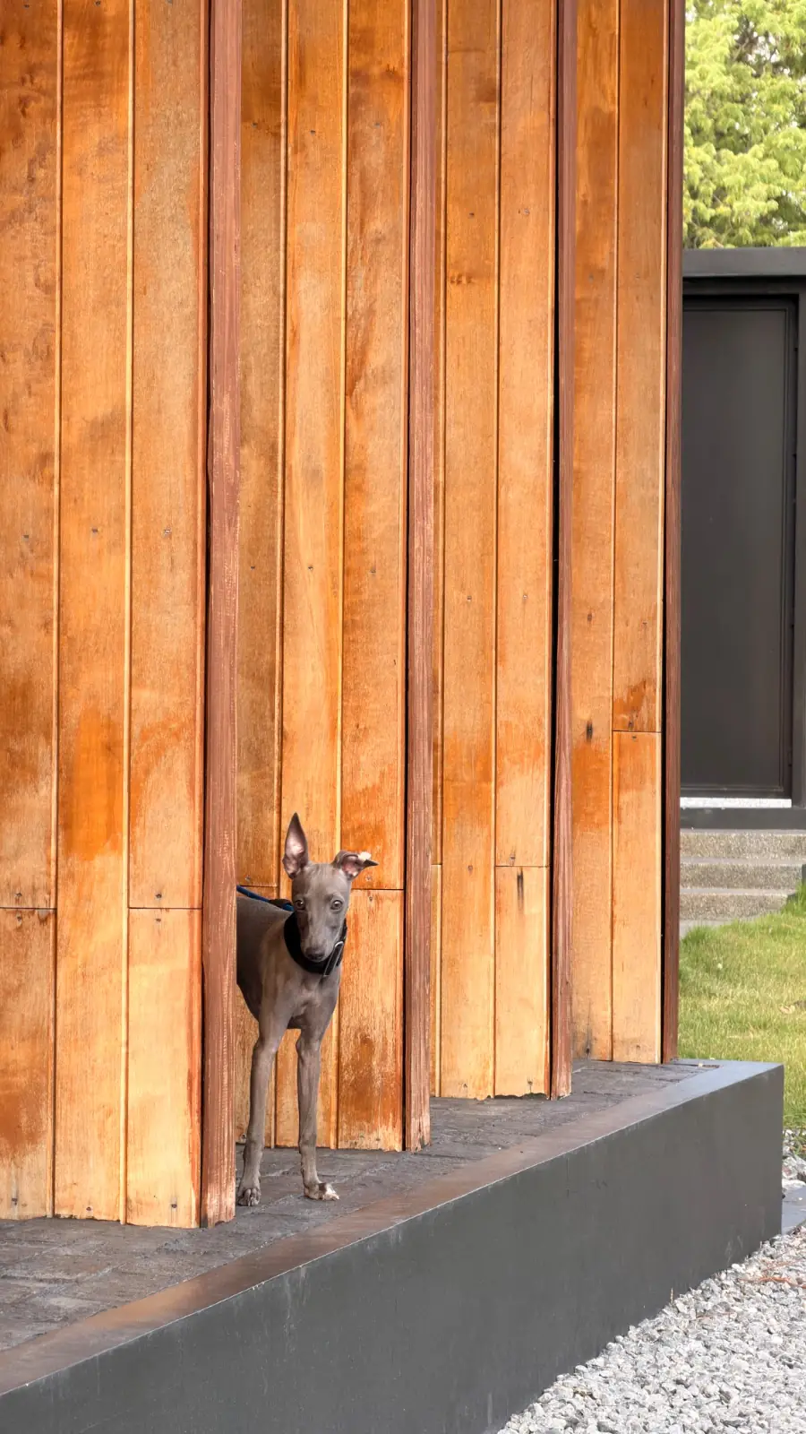 Maa Khaoyai pets image 1