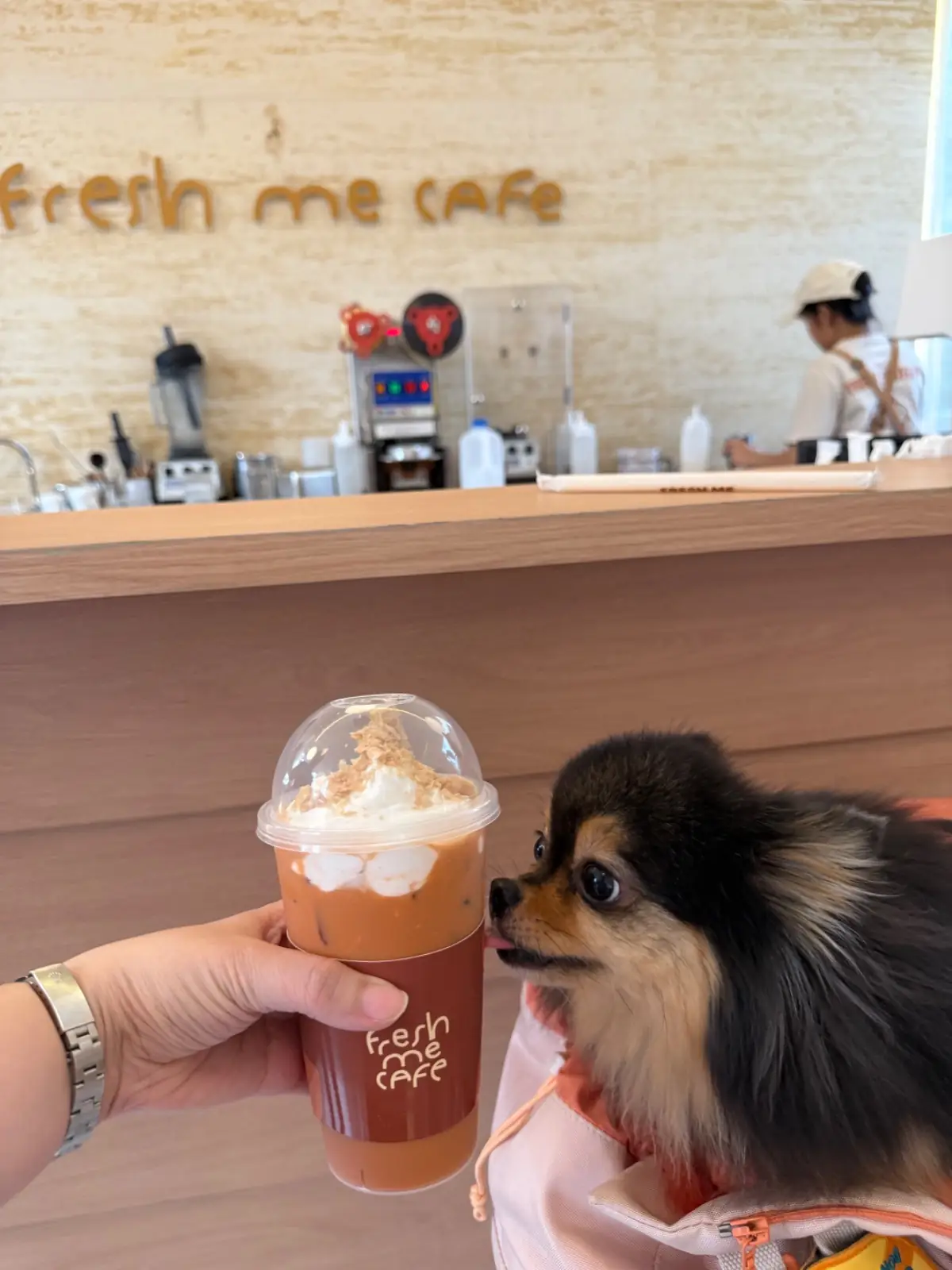 Fresh Me Cafe pets image 3