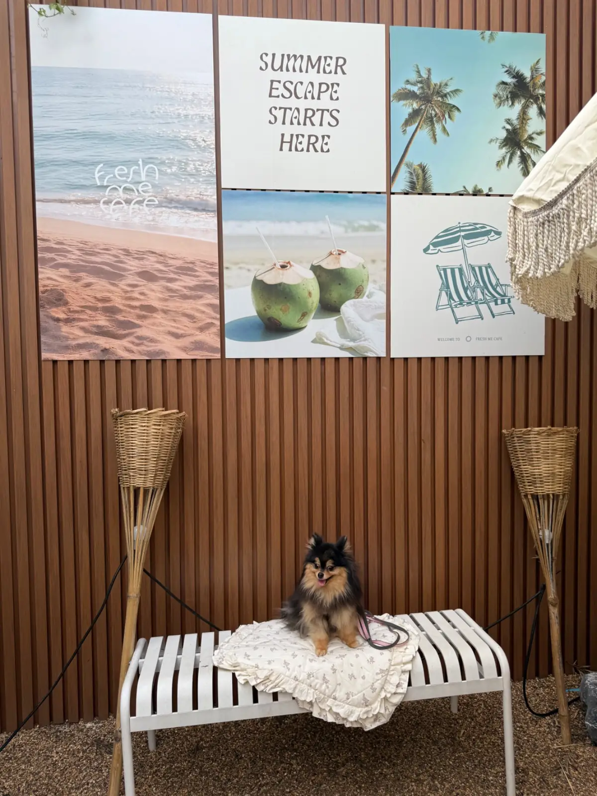 Fresh Me Cafe pets image 2