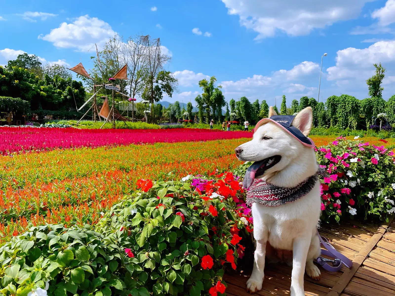 บ้านไร่นายรุ่ง Baan Rai Nai Rung pets image 4