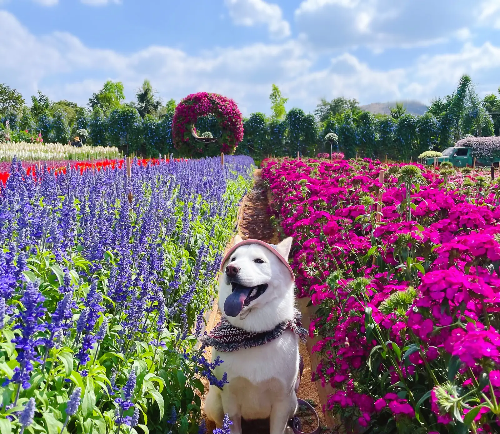 บ้านไร่นายรุ่ง Baan Rai Nai Rung pets image 3