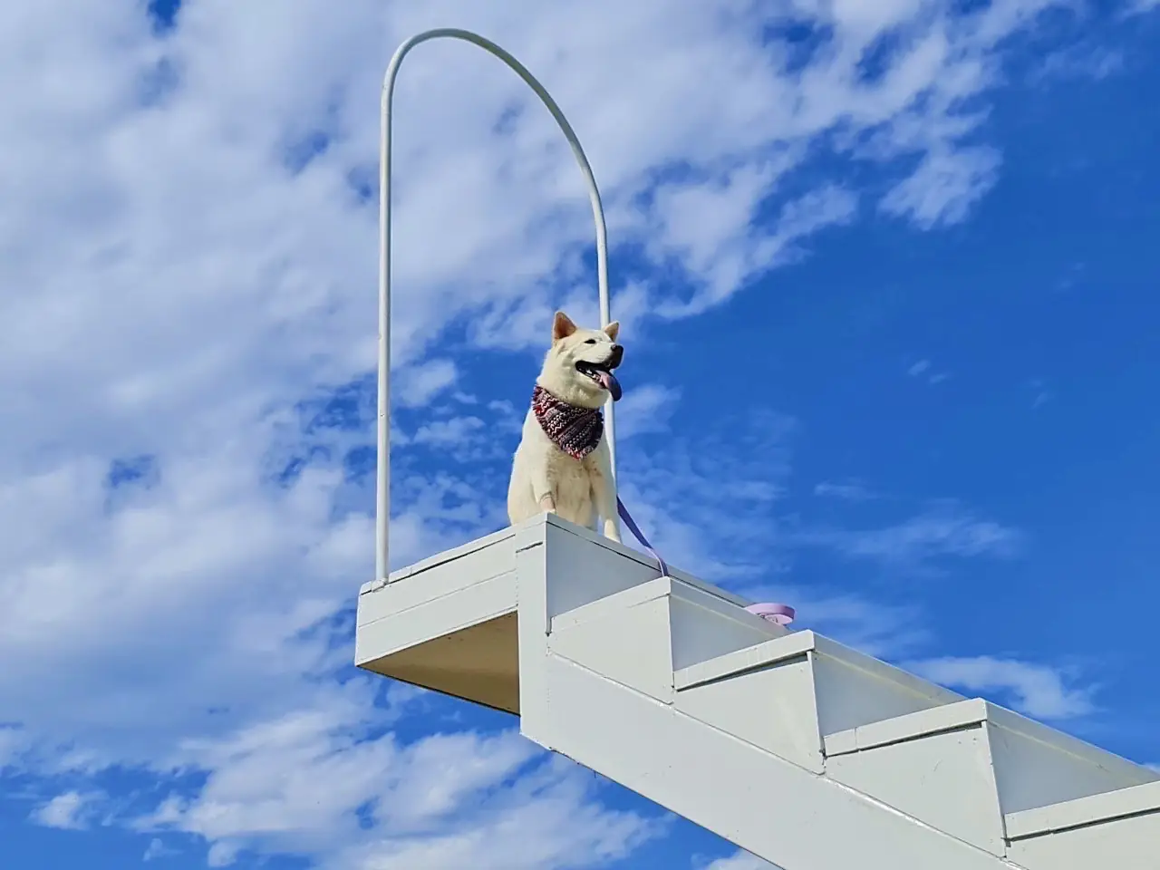 บ้านไร่นายรุ่ง Baan Rai Nai Rung pets image 2