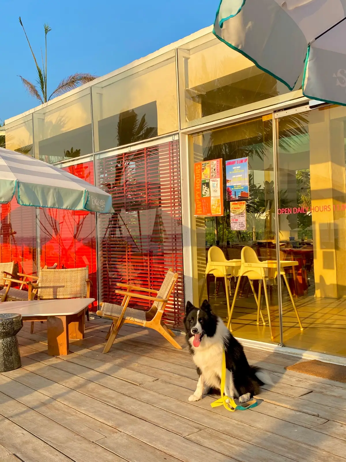 Badasga Beach Club pets image 3