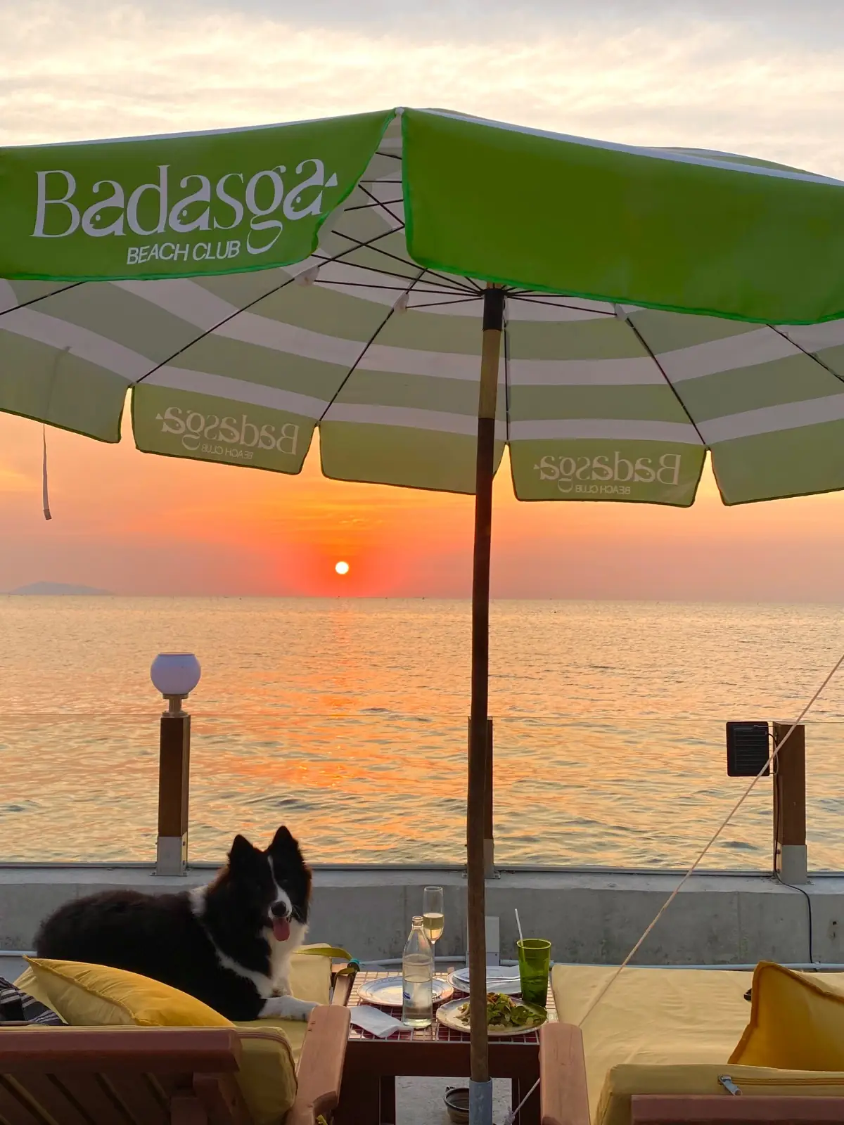 Badasga Beach Club pets image 5