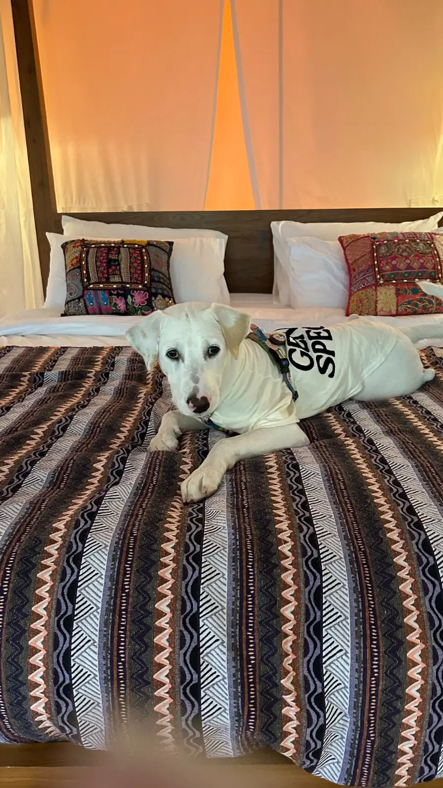 Kiri Vari at Sapan other image 5