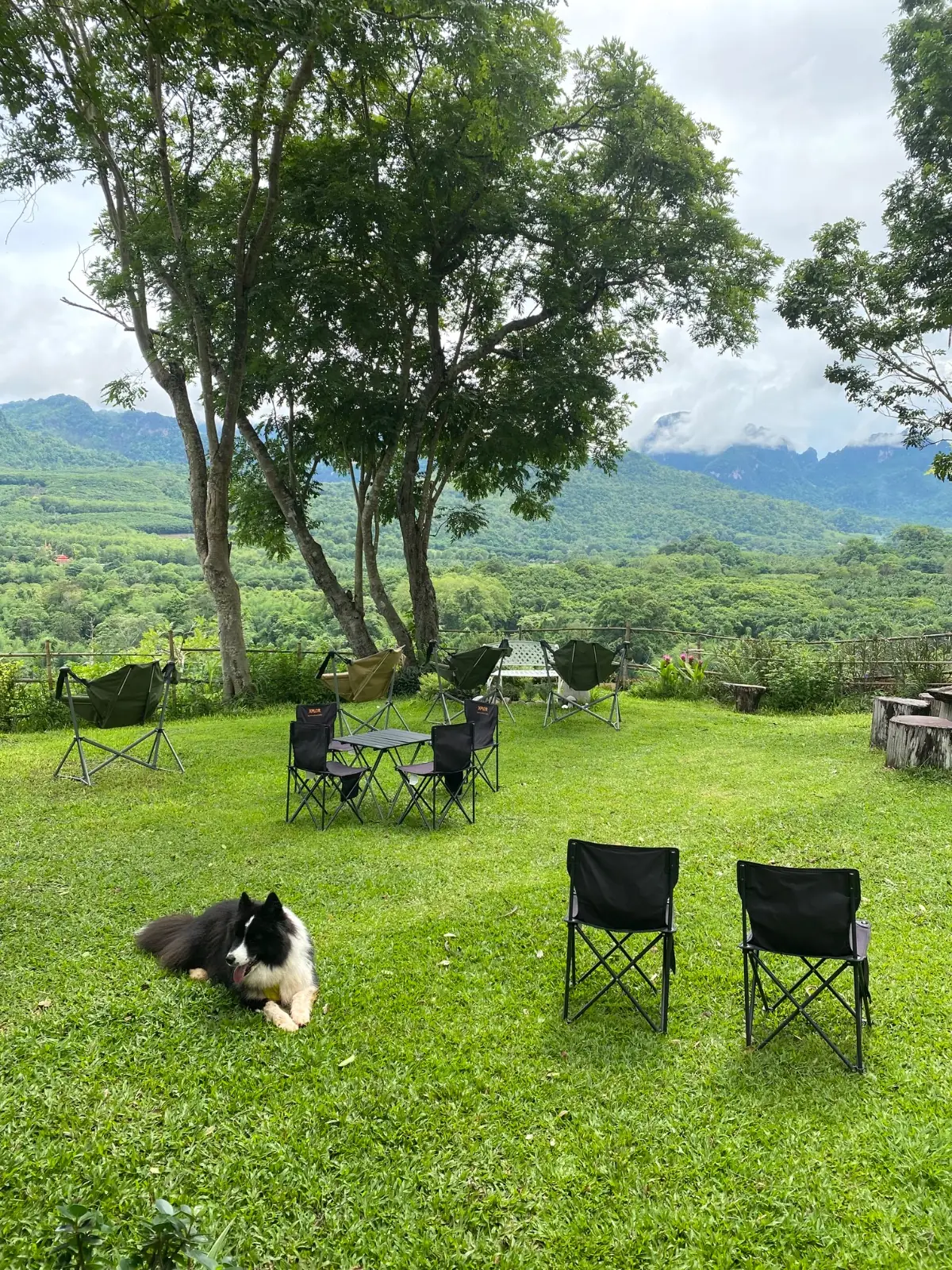 อิ่มเอมฮัท pets image 1