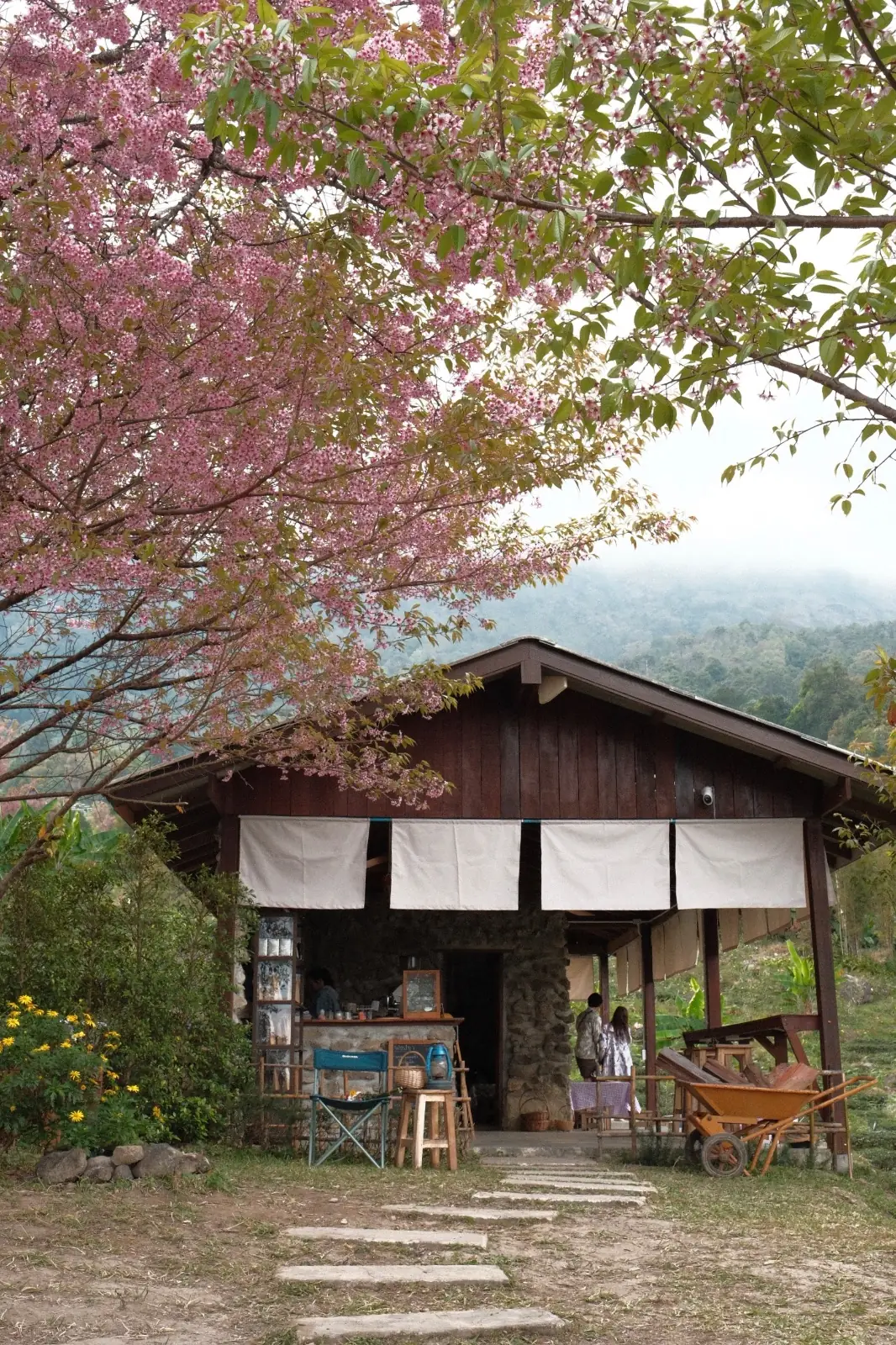 ไร่ชาดอยอินทนนท์ amenities image 1