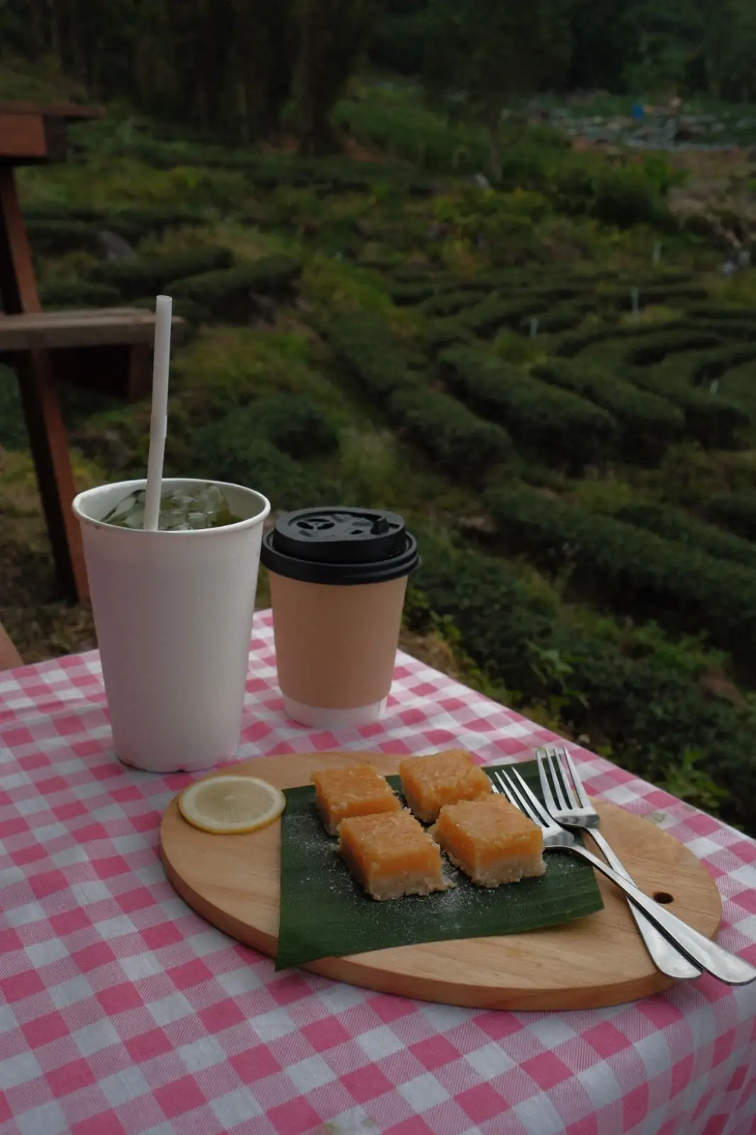 ไร่ชาดอยอินทนนท์ amenities image 2