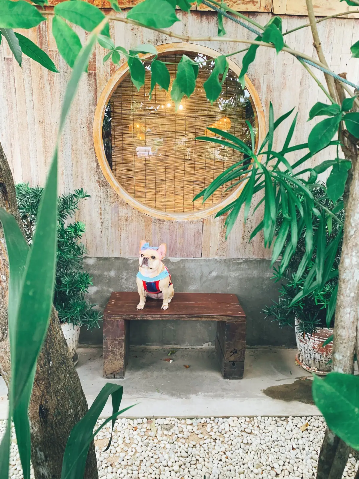 Sensu Tea House other image 3