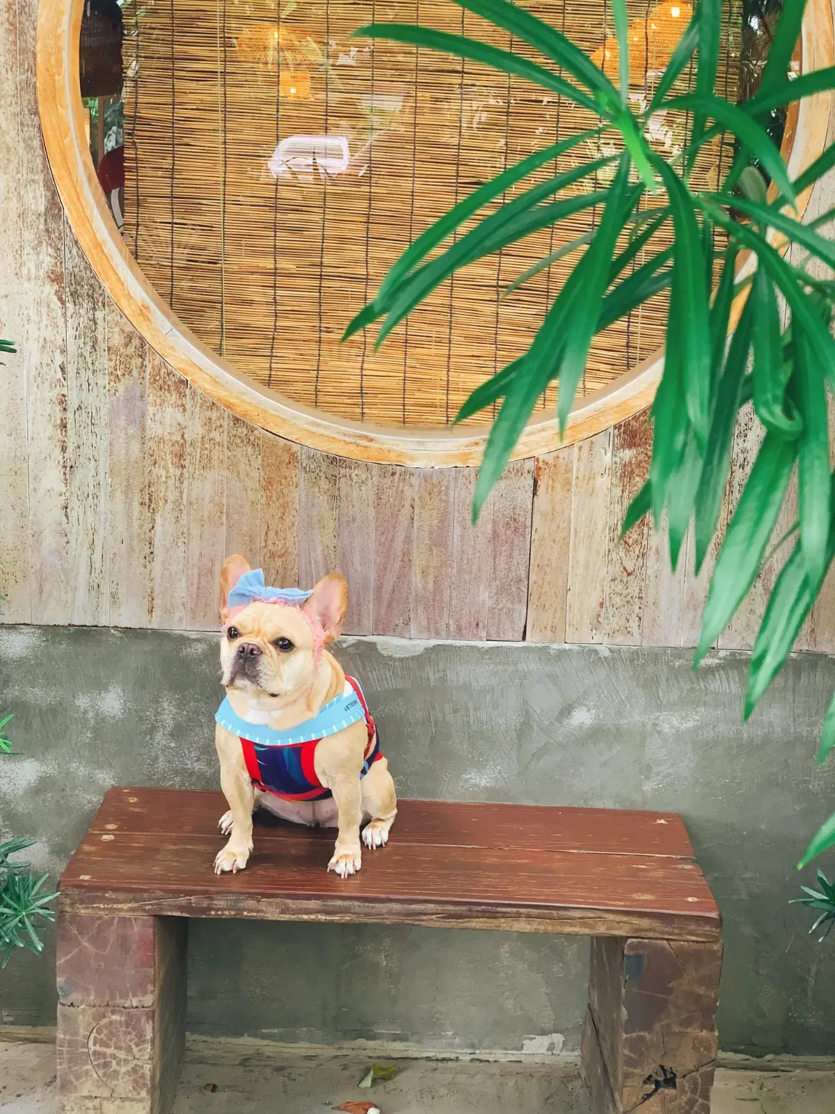 Sensu Tea House other image 5