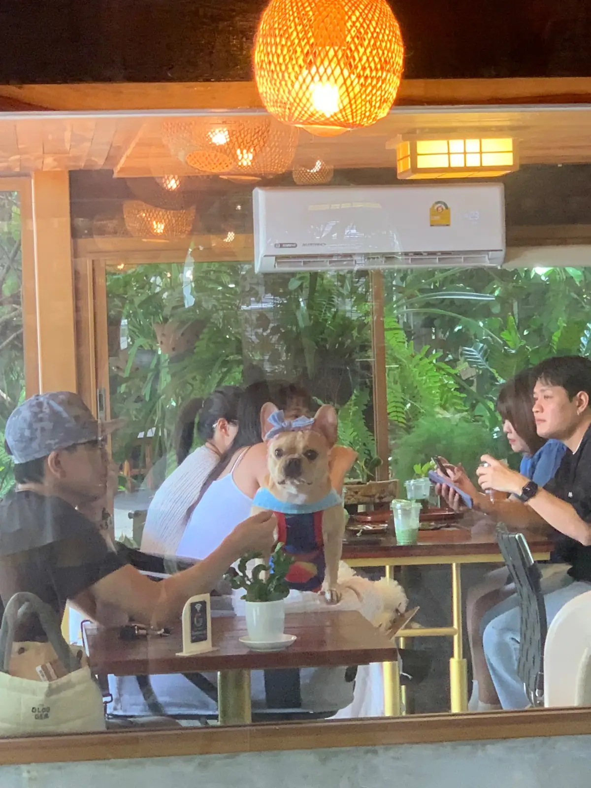 Sensu Tea House other image 4