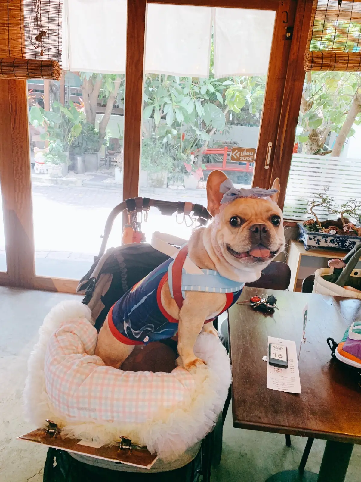 Sensu Tea House other image 2