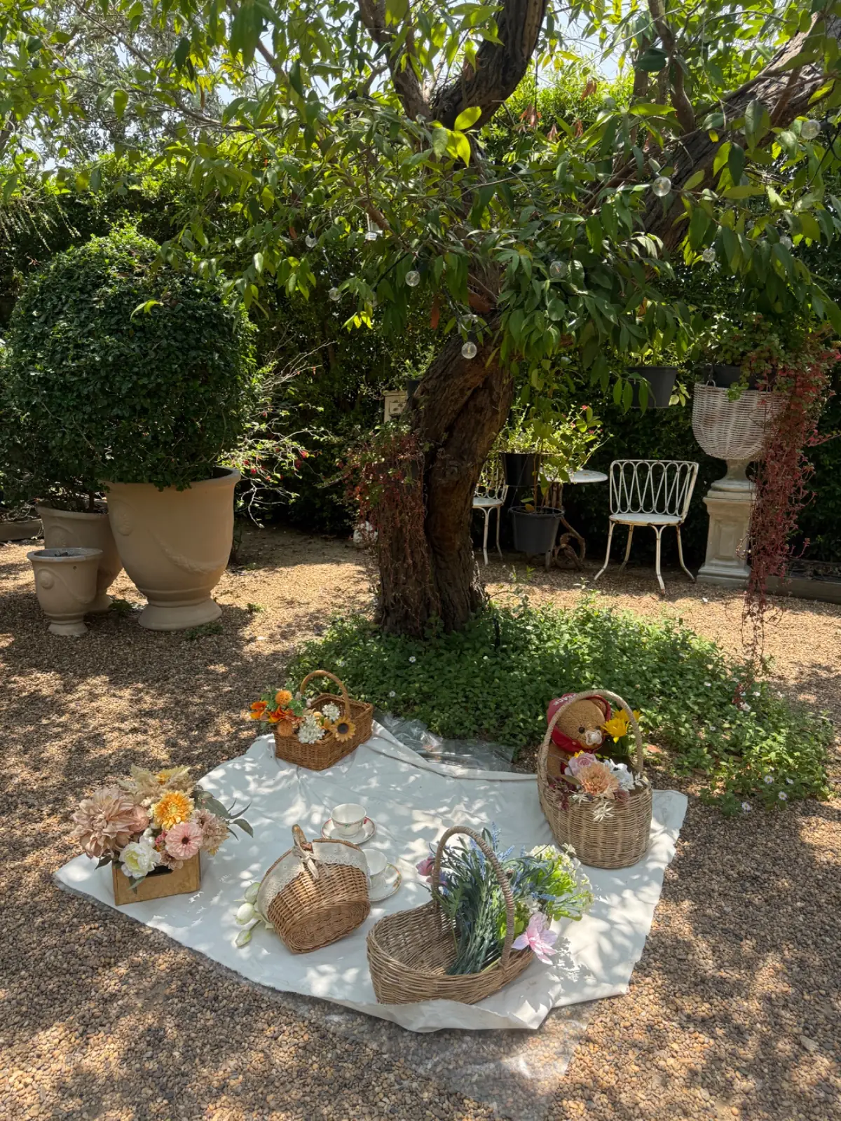 Le Cereste Cafe and Home Cooking overall image 1