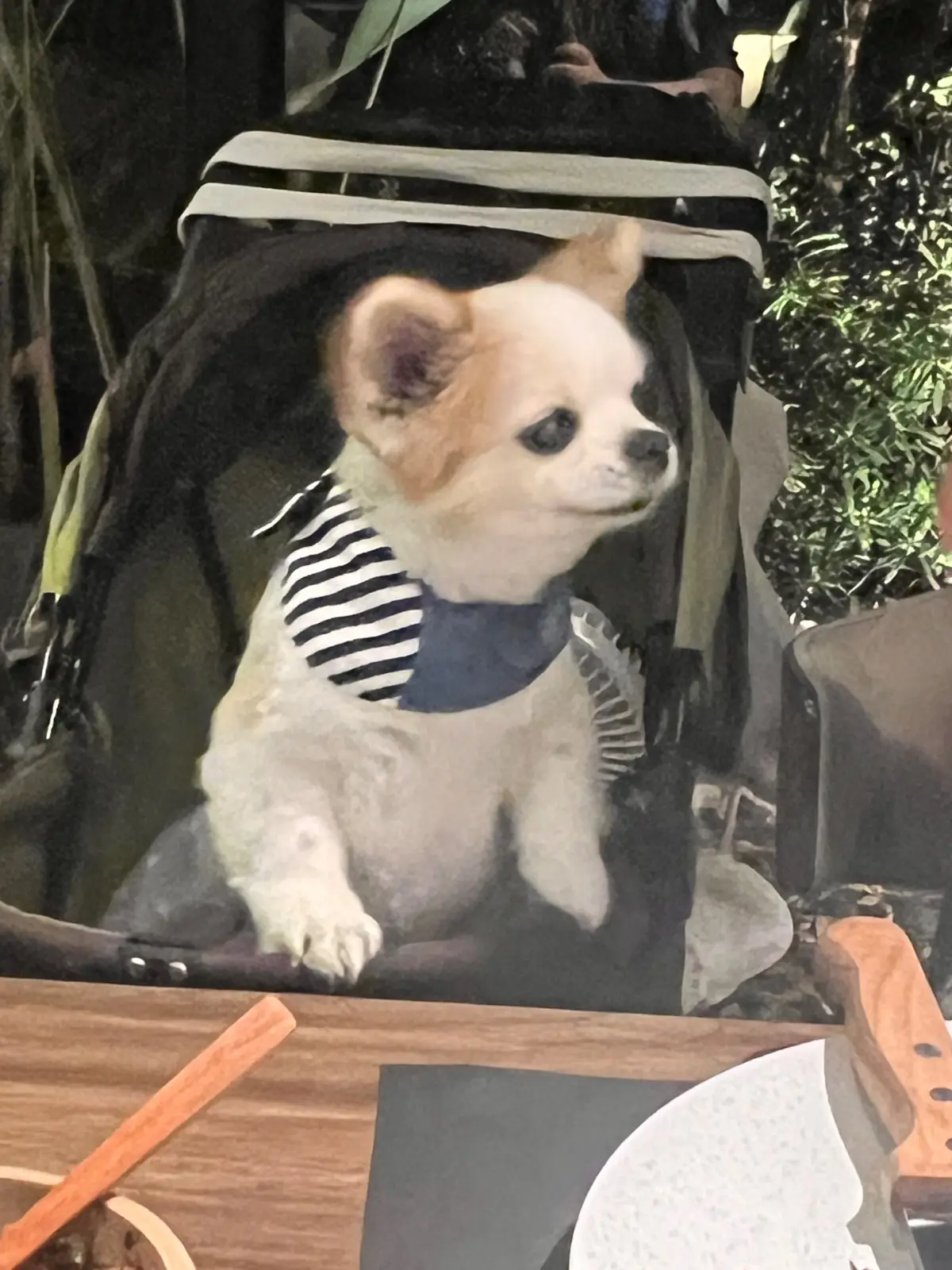 Don asado hero image 2