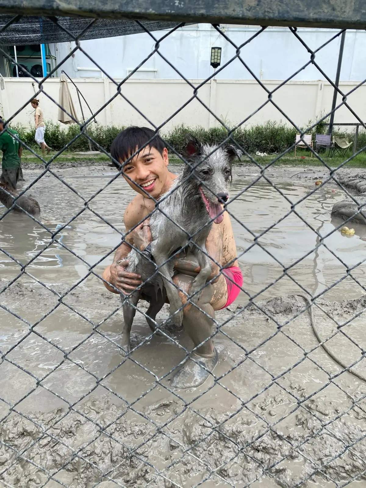 Dog's Dream pets image 3