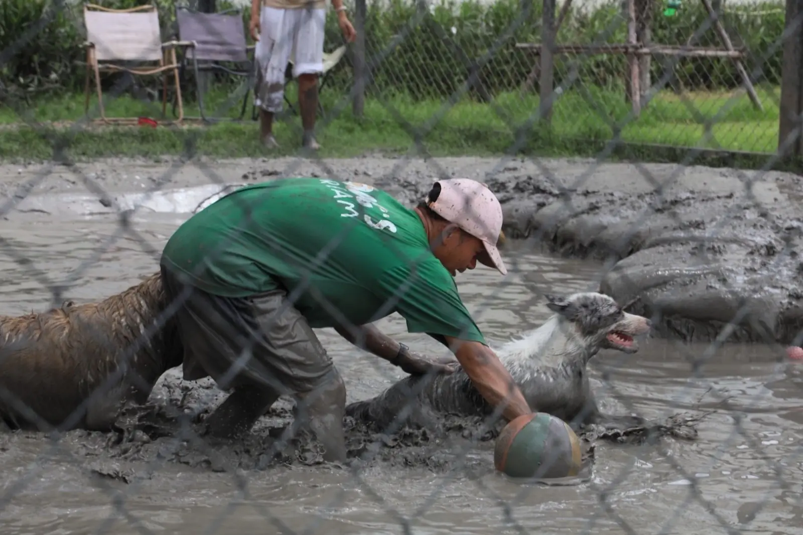 Dog's Dream pets image 10