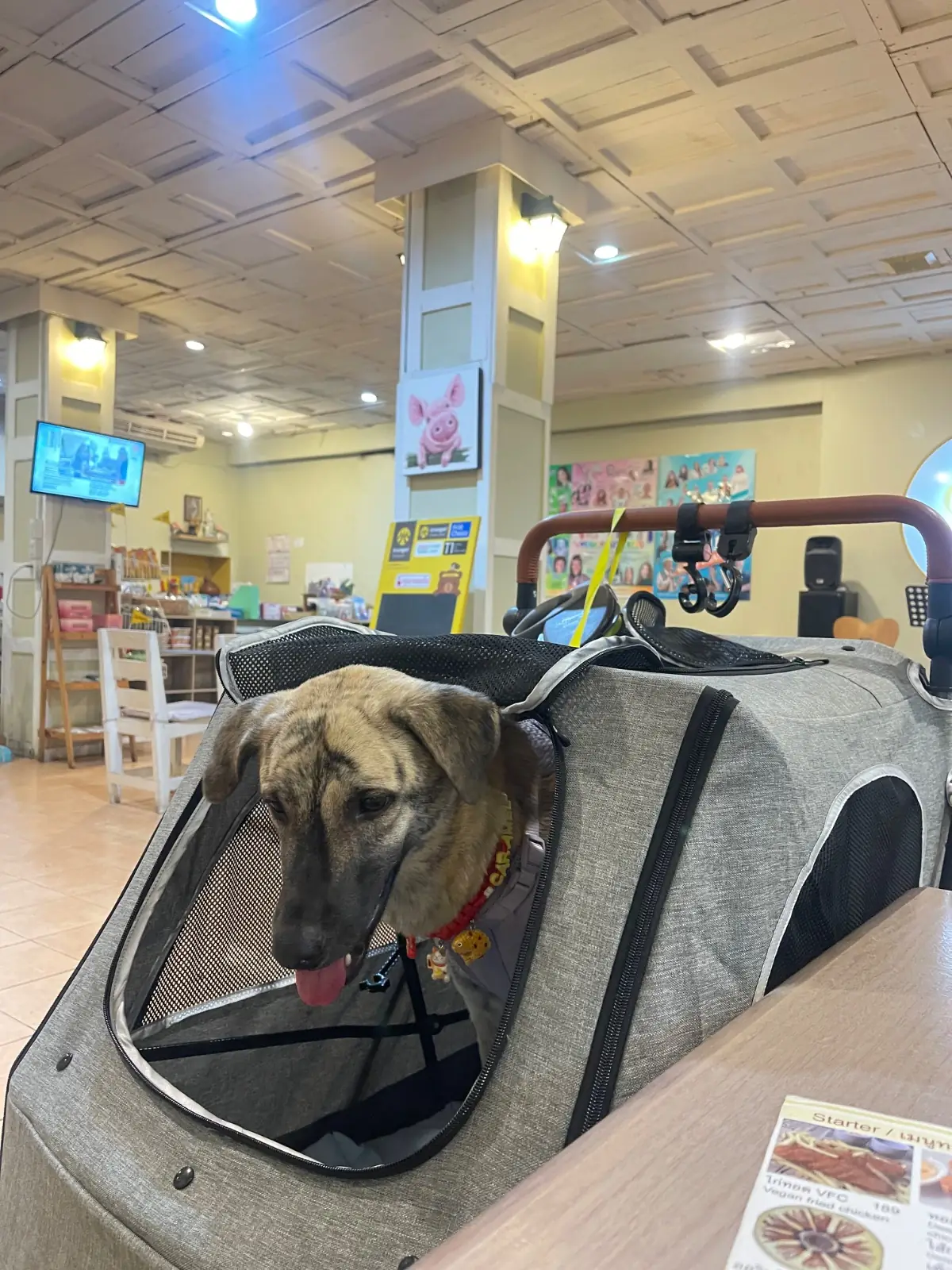 Loving Hut - Ramintra 51 pets image 2