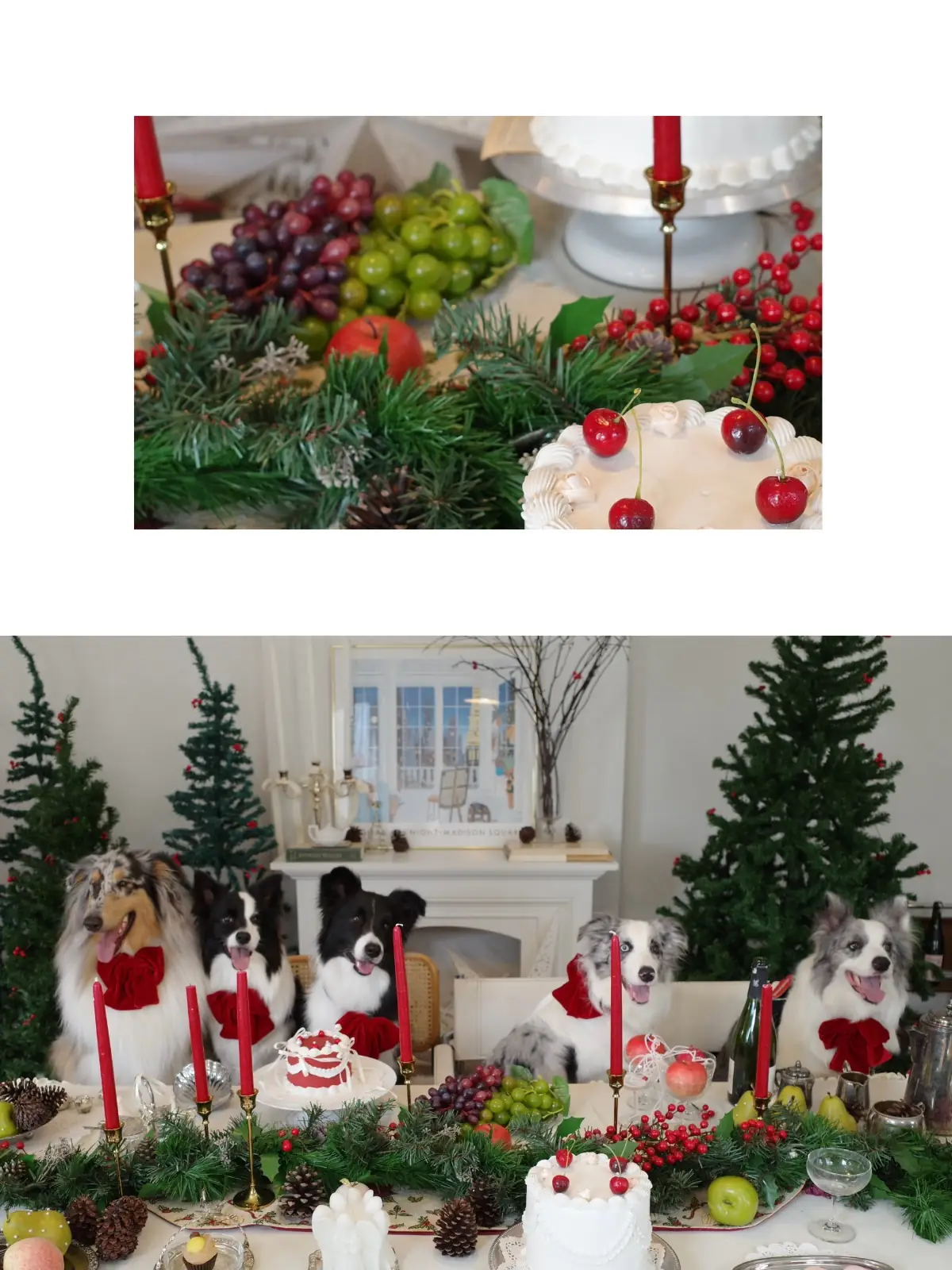 House of Marlowe other image 1