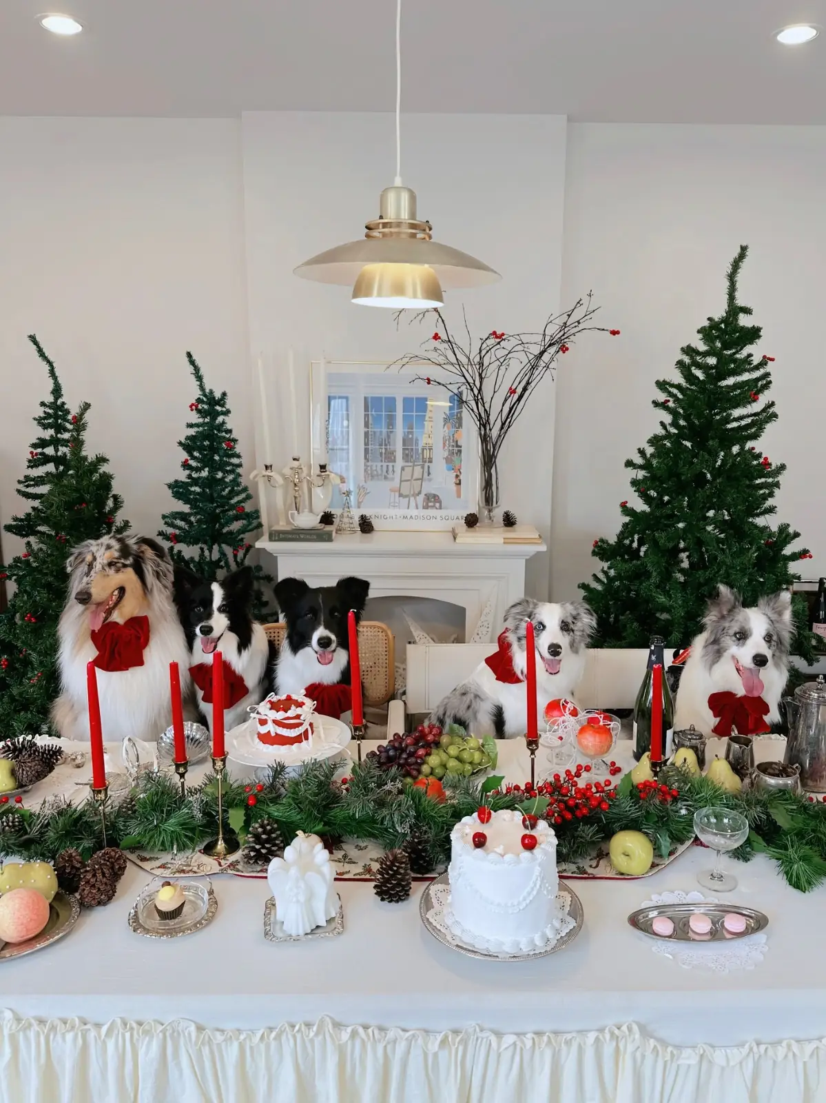 House of Marlowe pets image 1