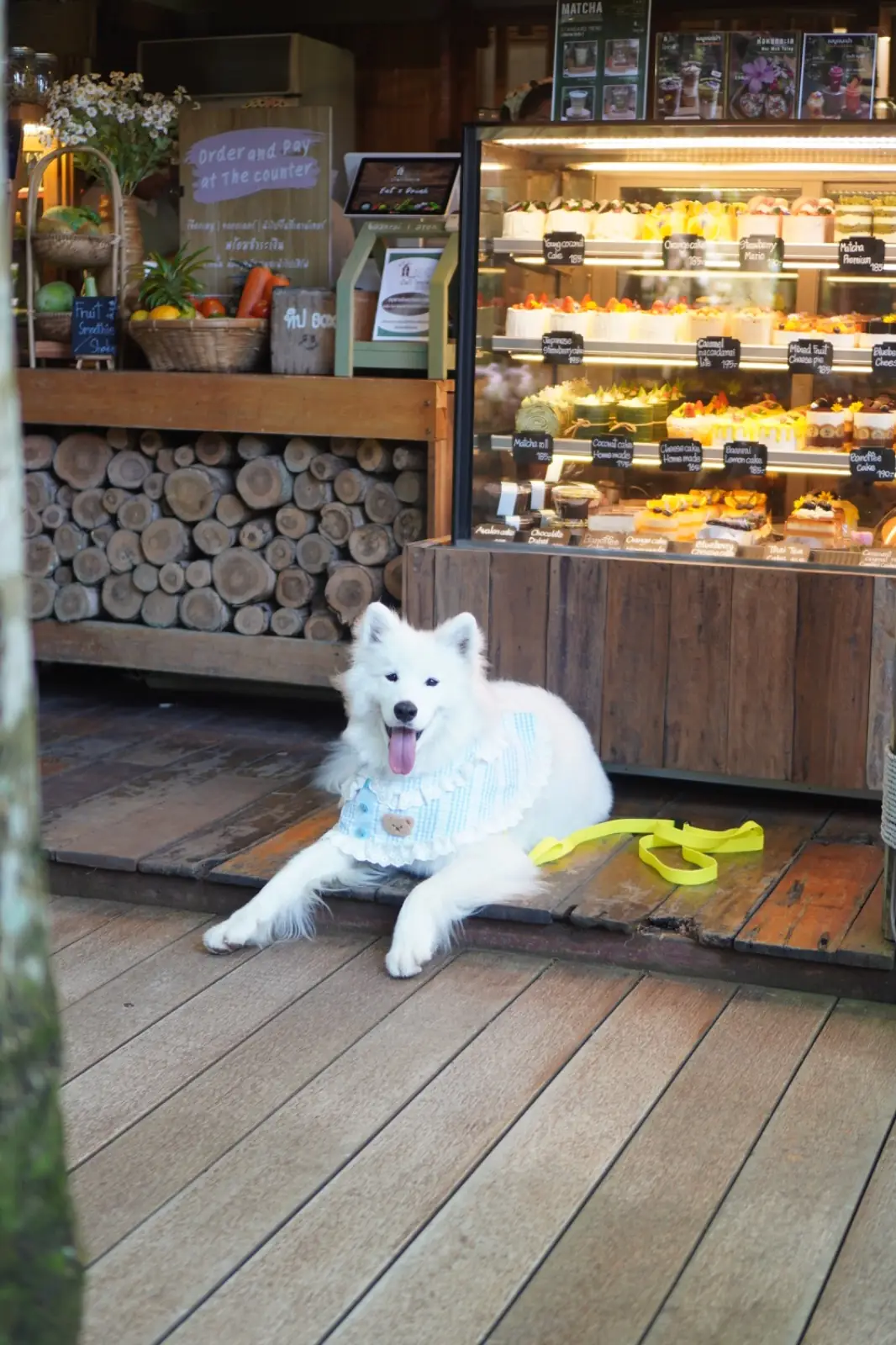 บ้านไร่ ไออรุณ pets image 2