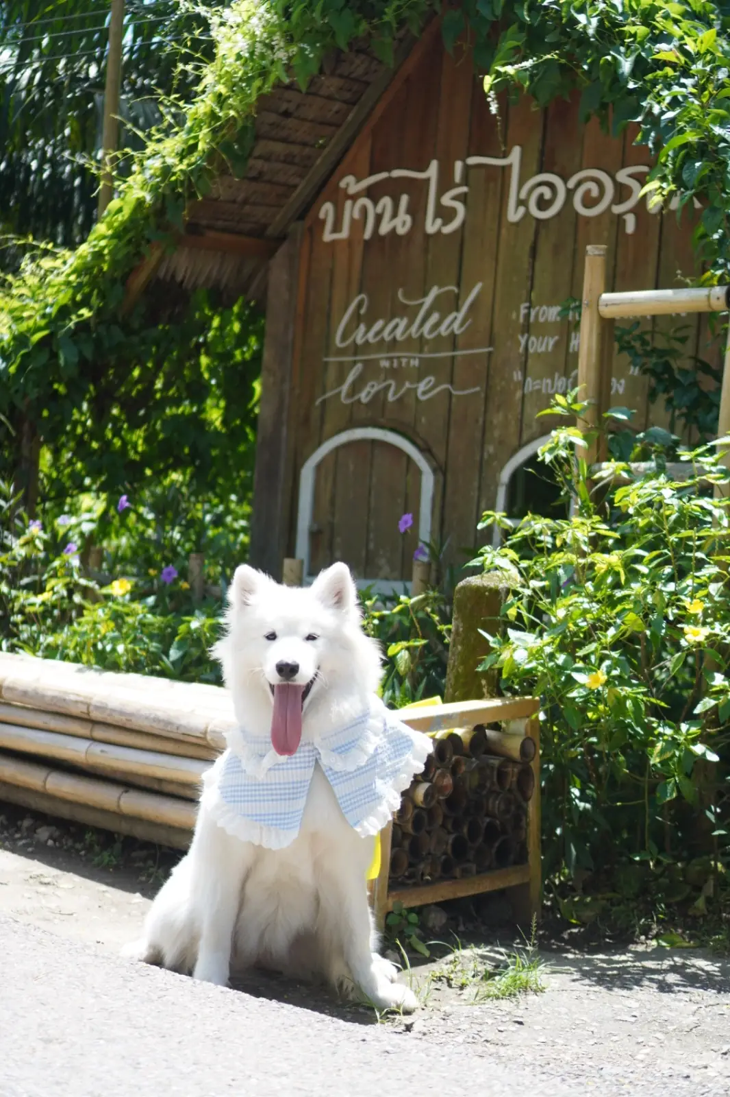 บ้านไร่ ไออรุณ pets image 1