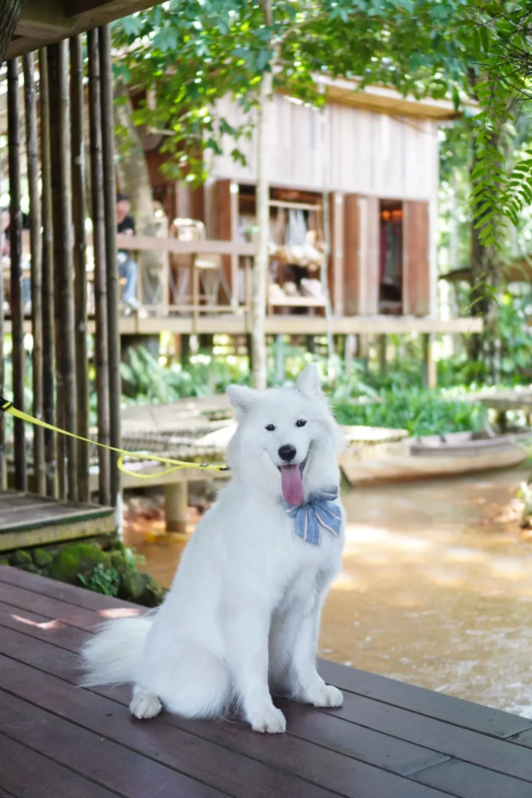 บ้านไร่ ไออรุณ pets image 4