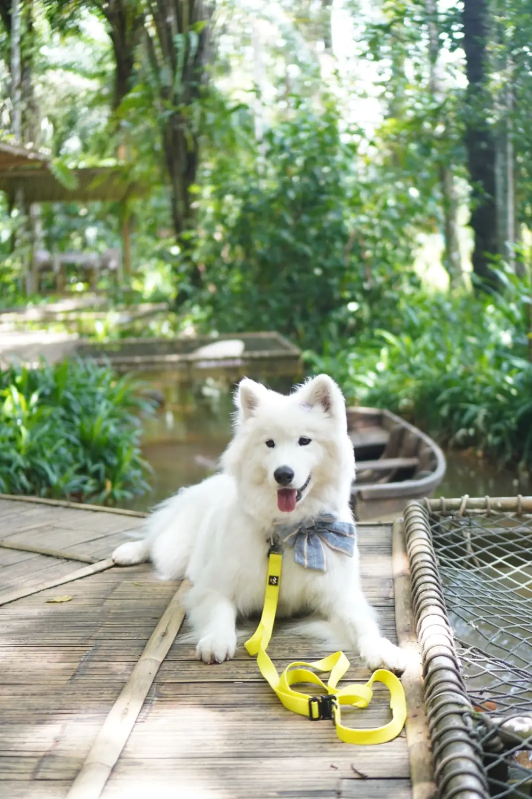 บ้านไร่ ไออรุณ pets image 3