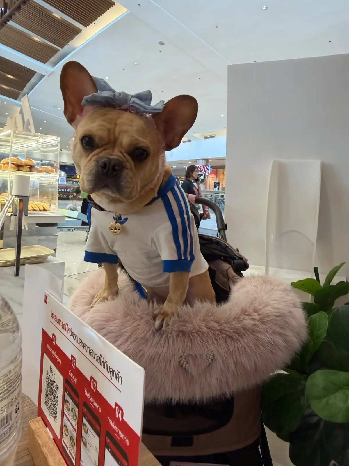 S&P Thai Restaurant & Bakery - Mega Bangna pets image 1