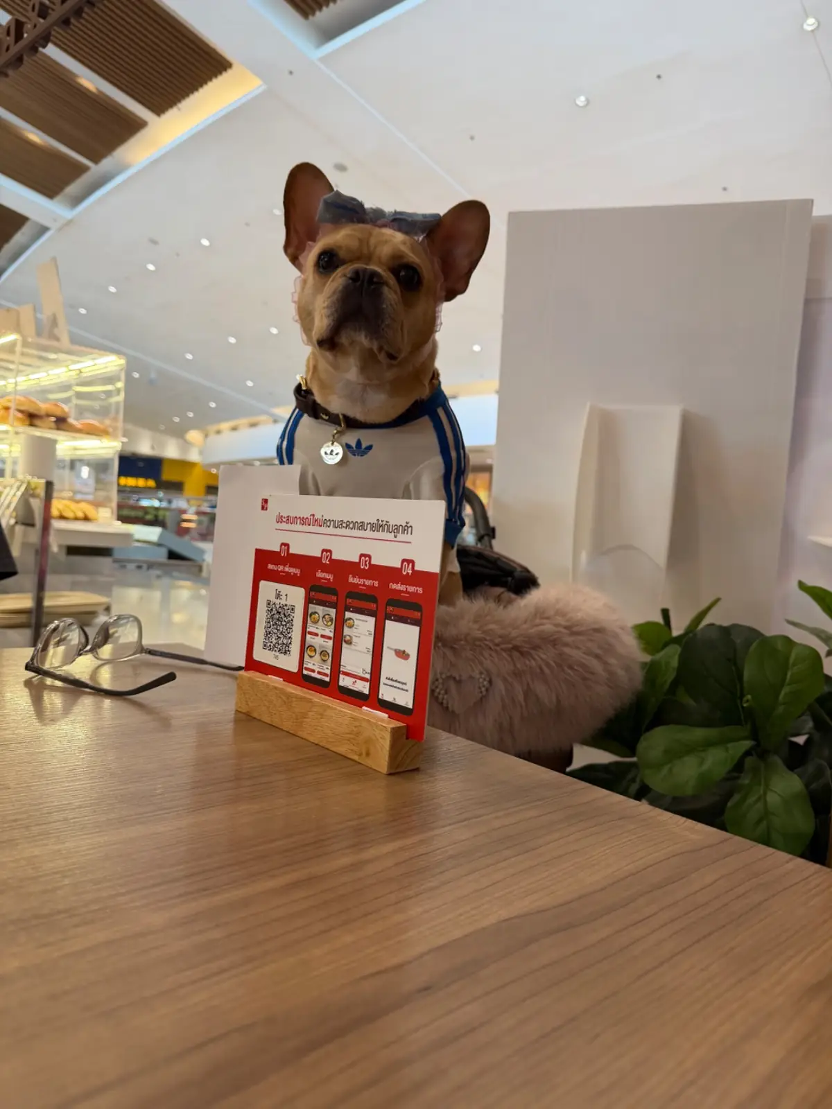S&P Thai Restaurant & Bakery - Mega Bangna pets image 2