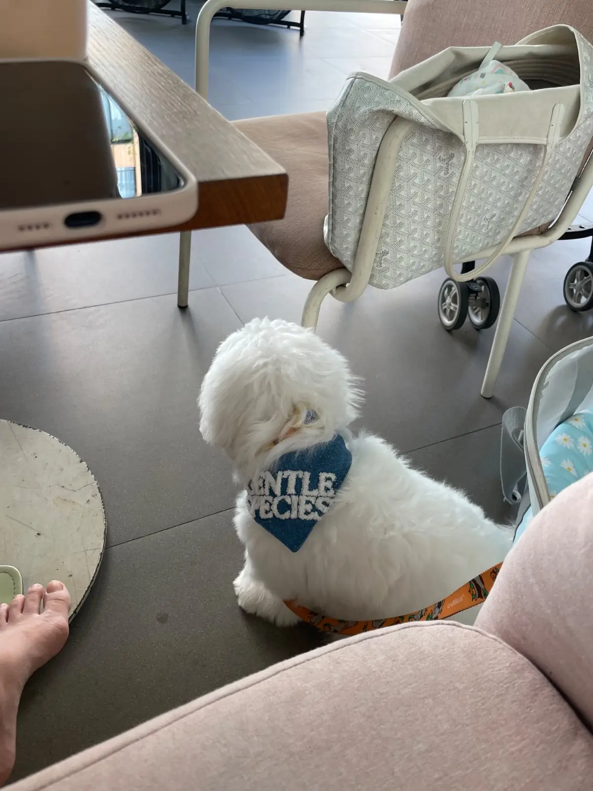 Craftsman Bangkok Hotel pets image 1