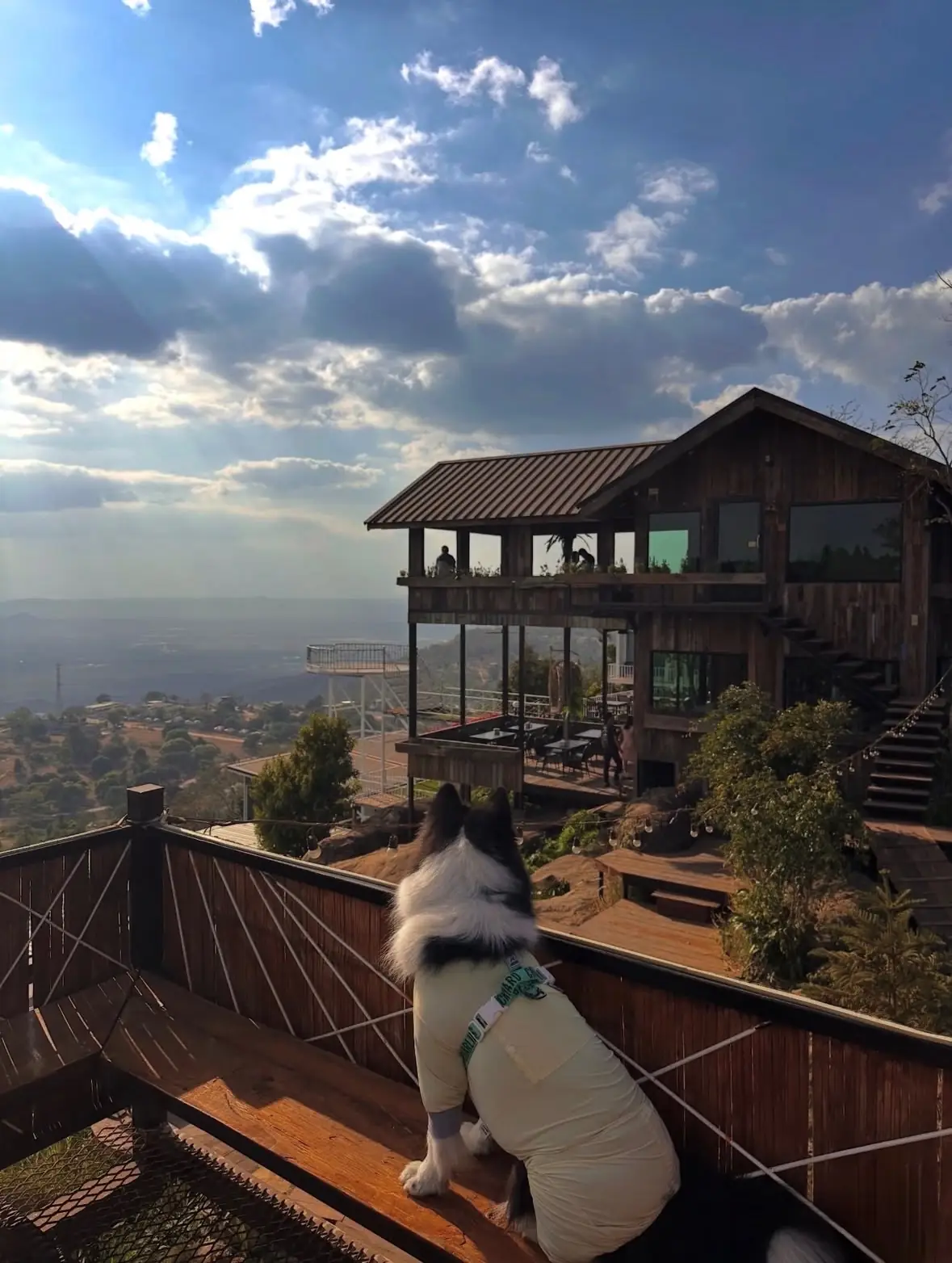 ฟอสซิลแคมป์&คาเฟ่ pets image 2