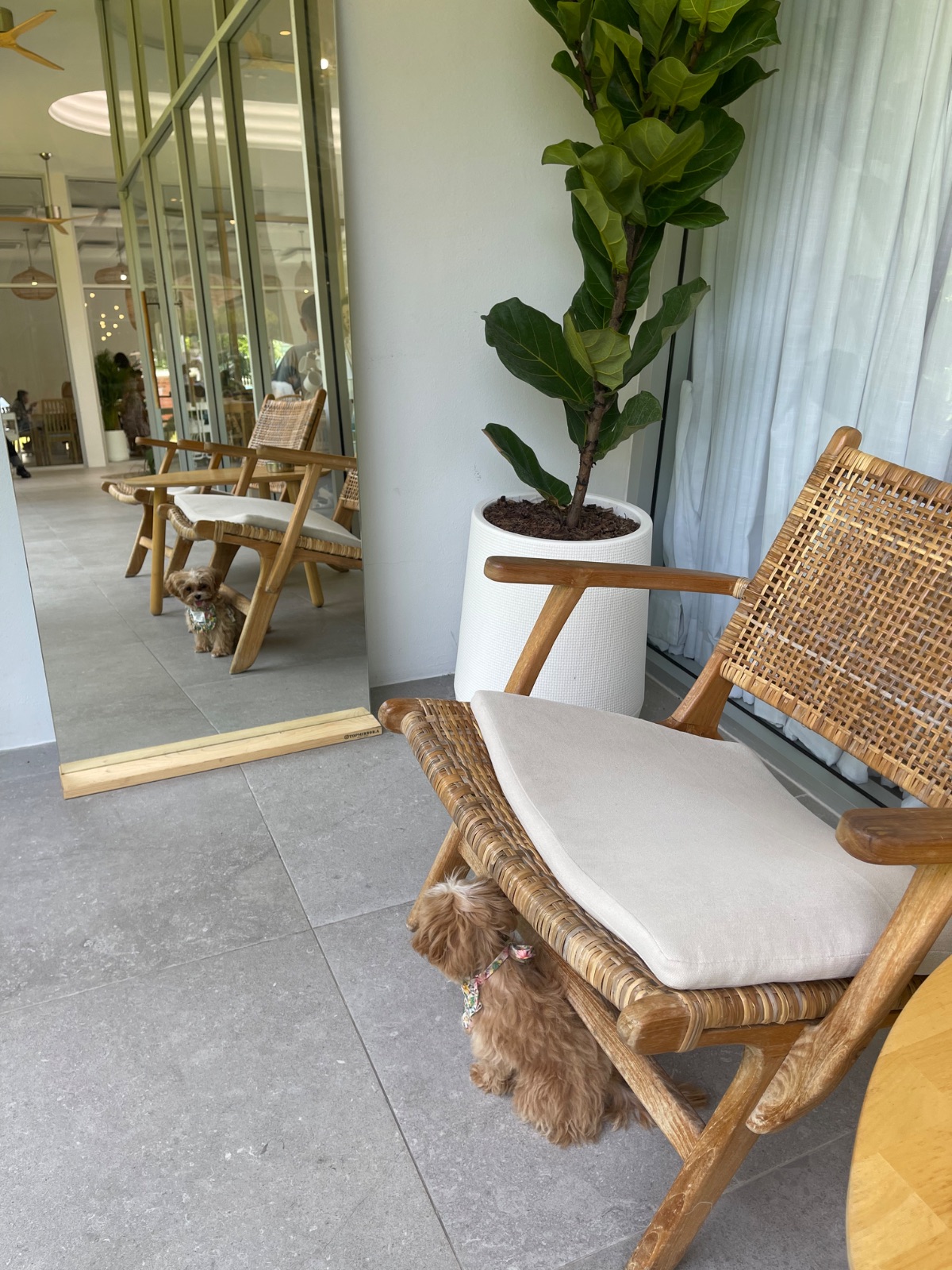 Khao Niao overall image 1