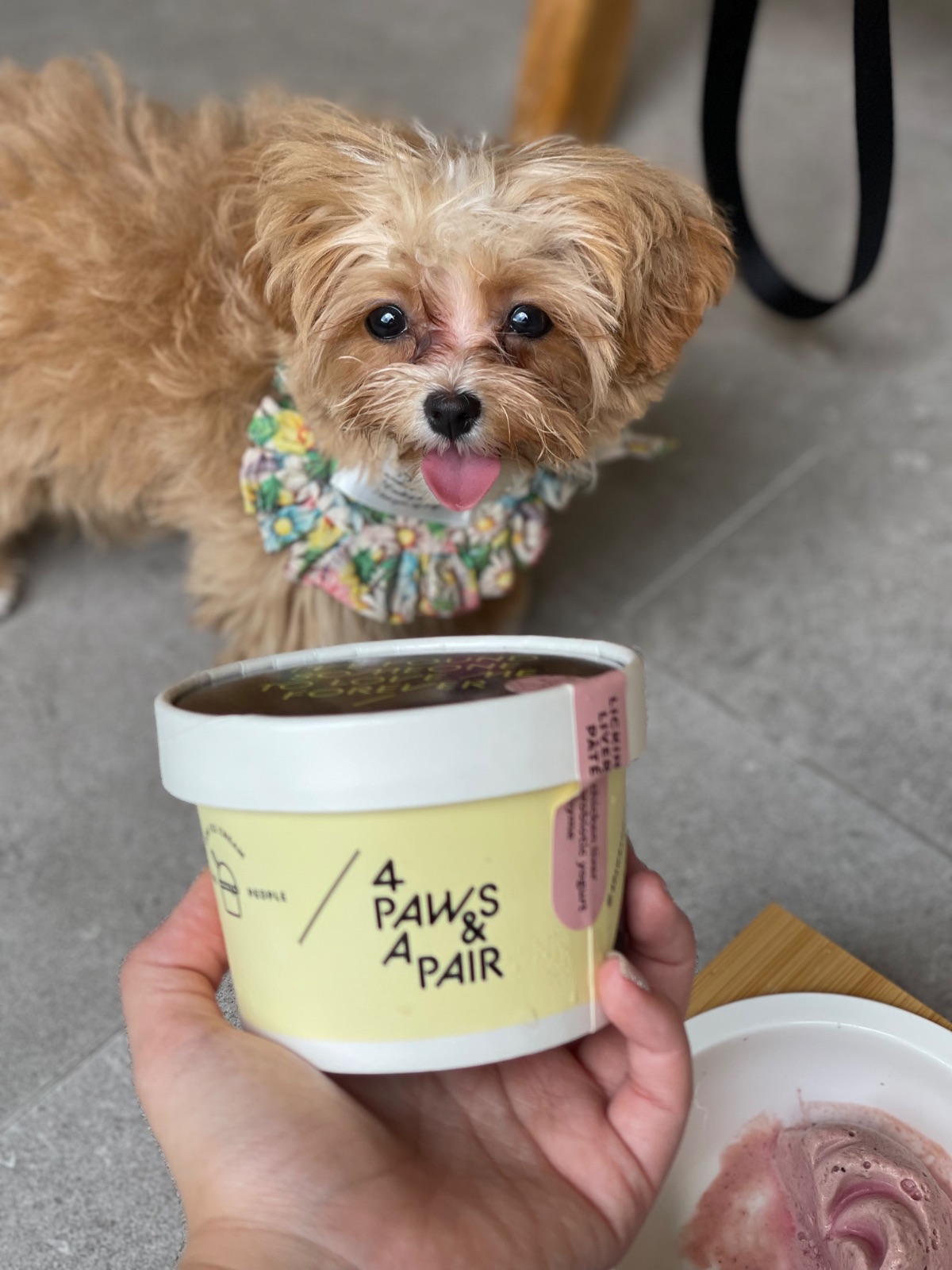 Khao Niao pets image 2