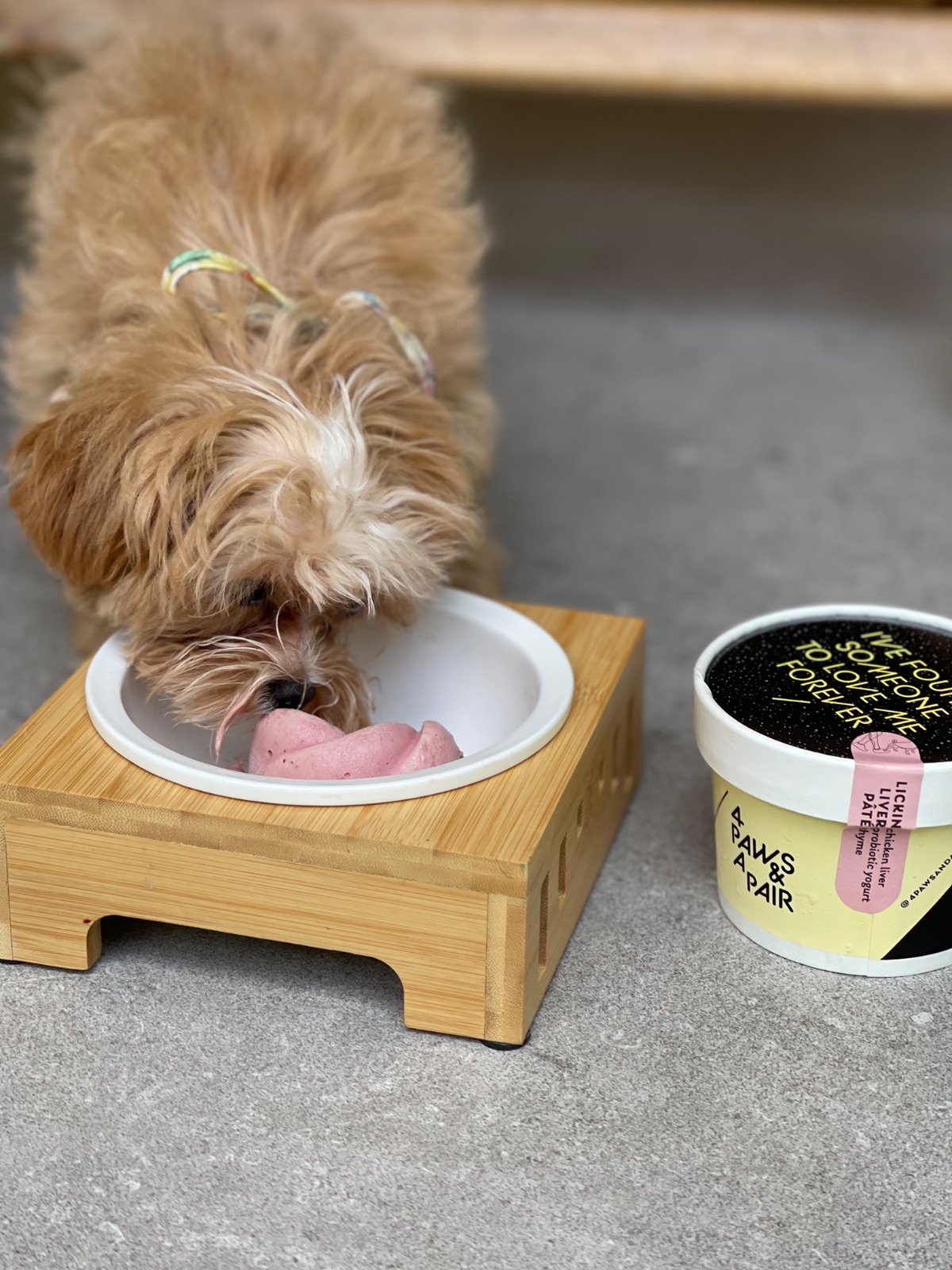 Khao Niao pets image 1