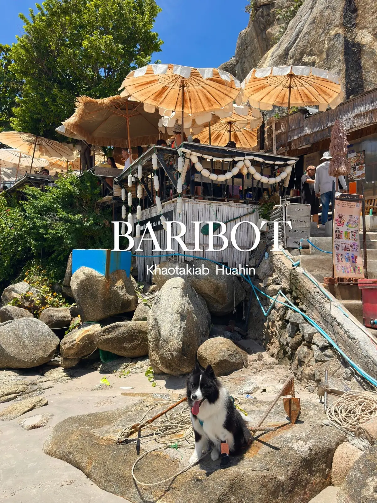 Baribot-khaotakiab overall image 1