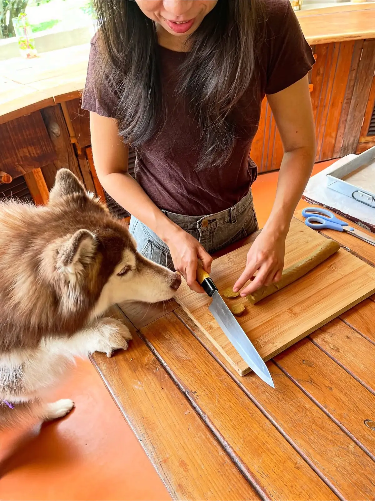 NUYU Khaoyai pets image 2