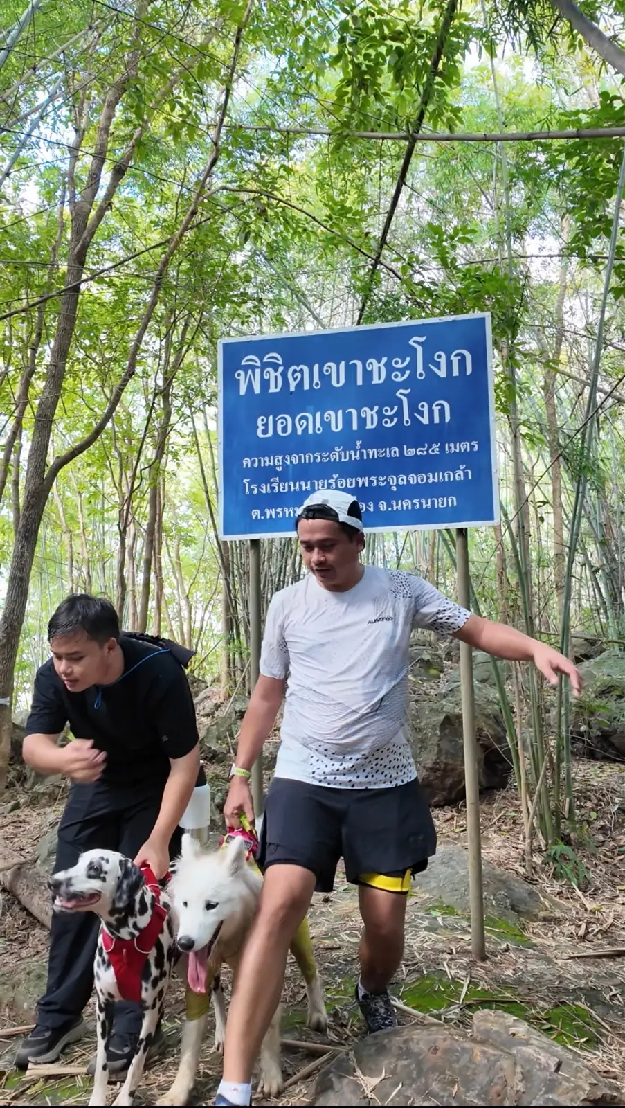 เขาชะโงก pets image 3