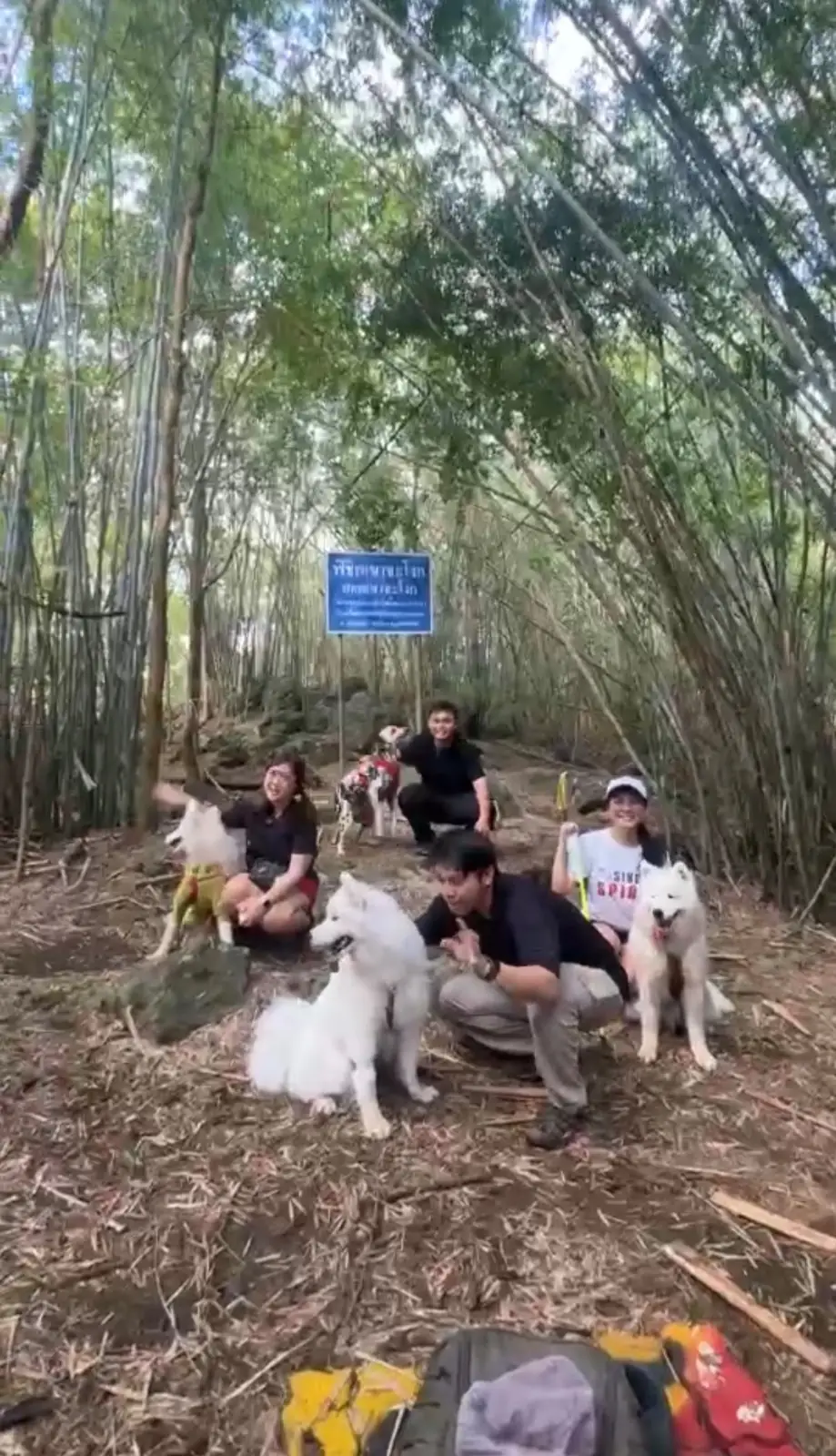 เขาชะโงก pets image 4