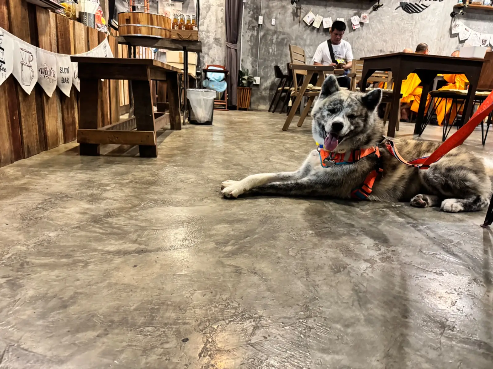 Tropical Eco-Cafe other image 1