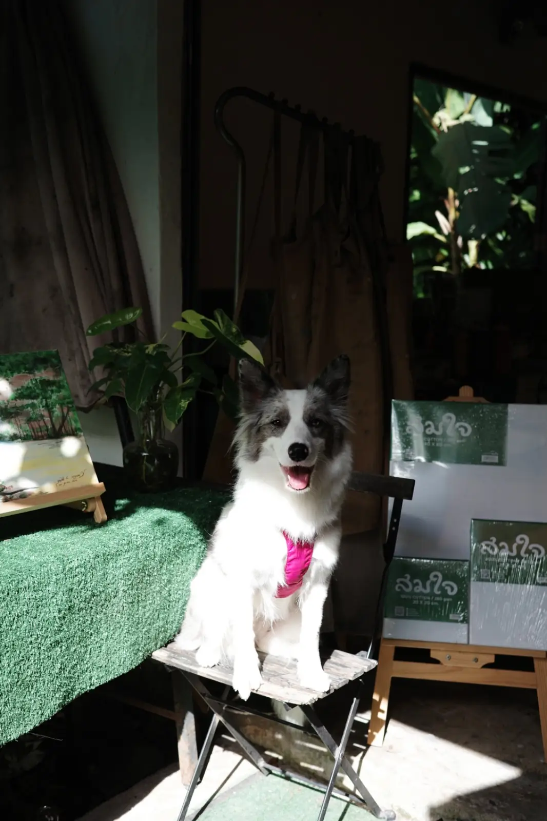 The Tropical Eco-Cafe & Tropical Camp Ground pets image 5