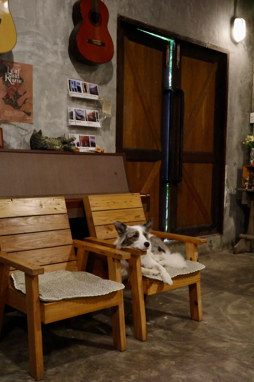 The Tropical Eco-Cafe & Tropical Camp Ground pets image 4