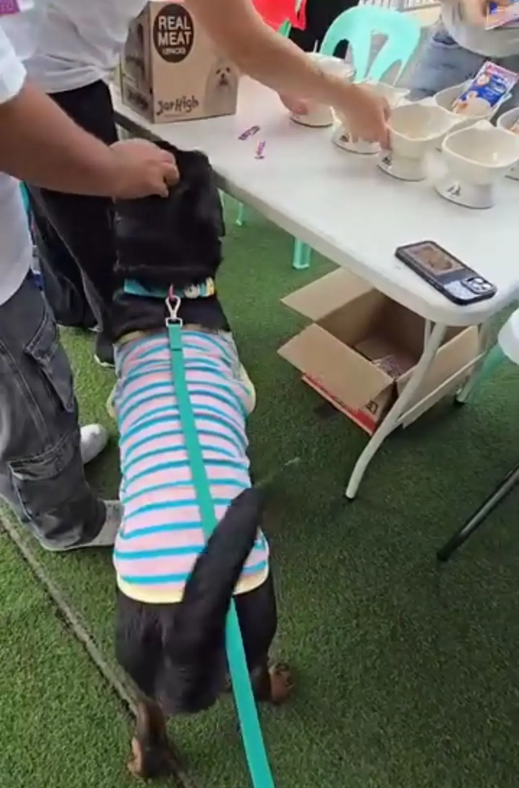 ท่ามหาราช pets image 1