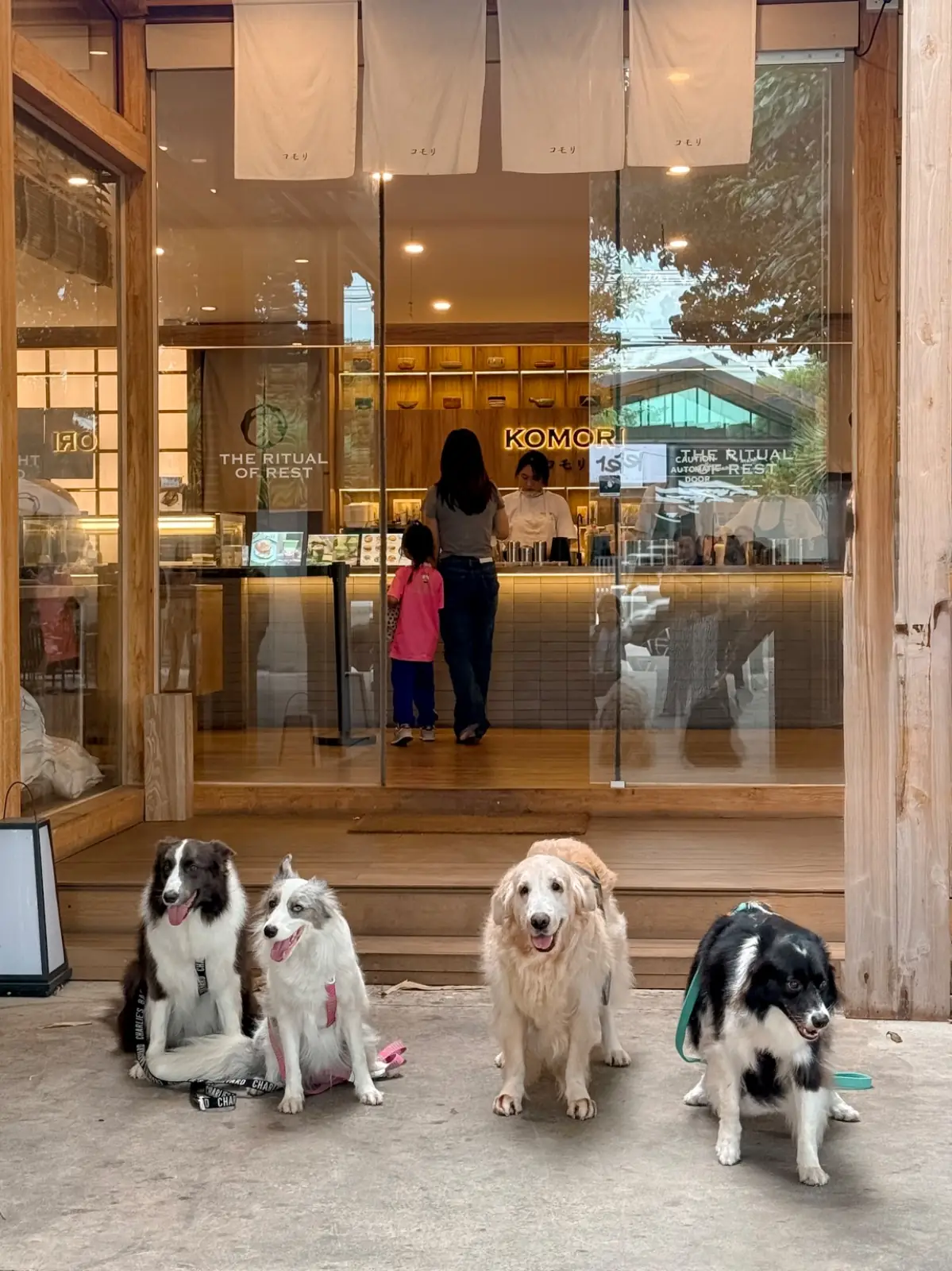 Komori Tea House pets image 6