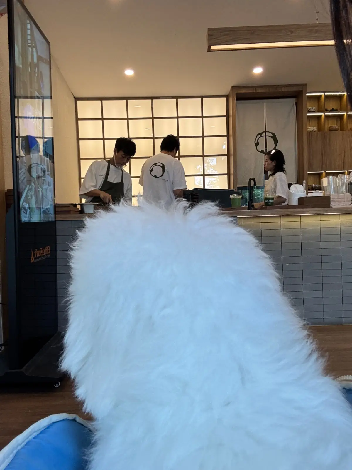 Komori Tea House pets image 1
