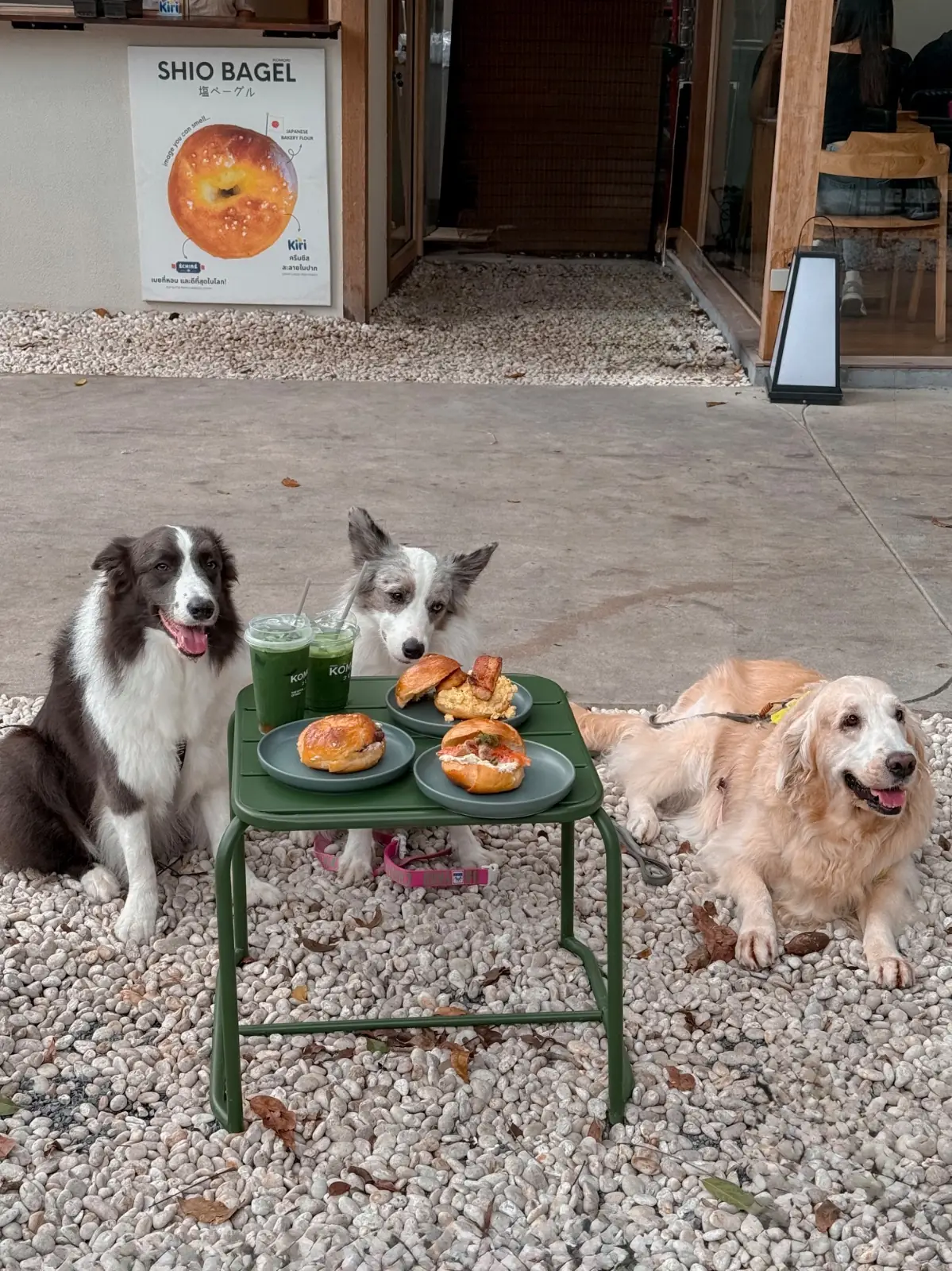 Komori Tea House pets image 8