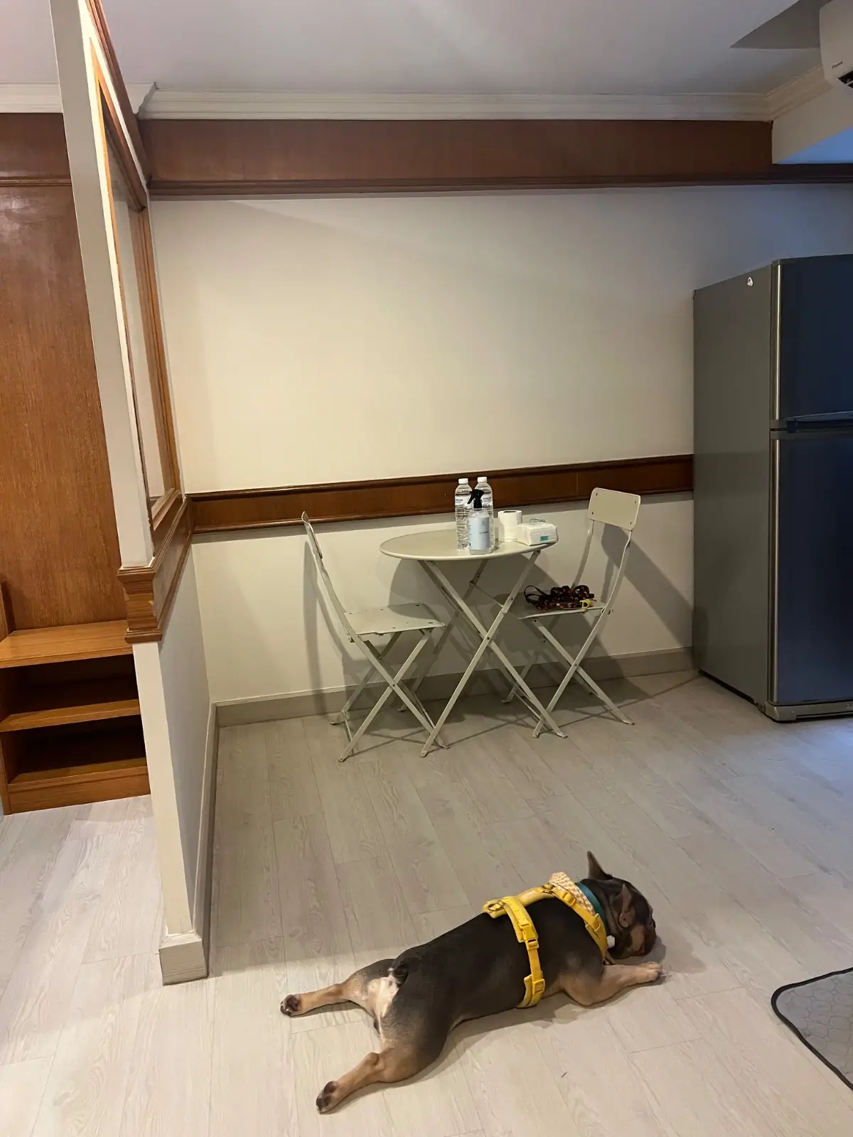 The Kaze 34 Hotel and Serviced Residence pets image 1