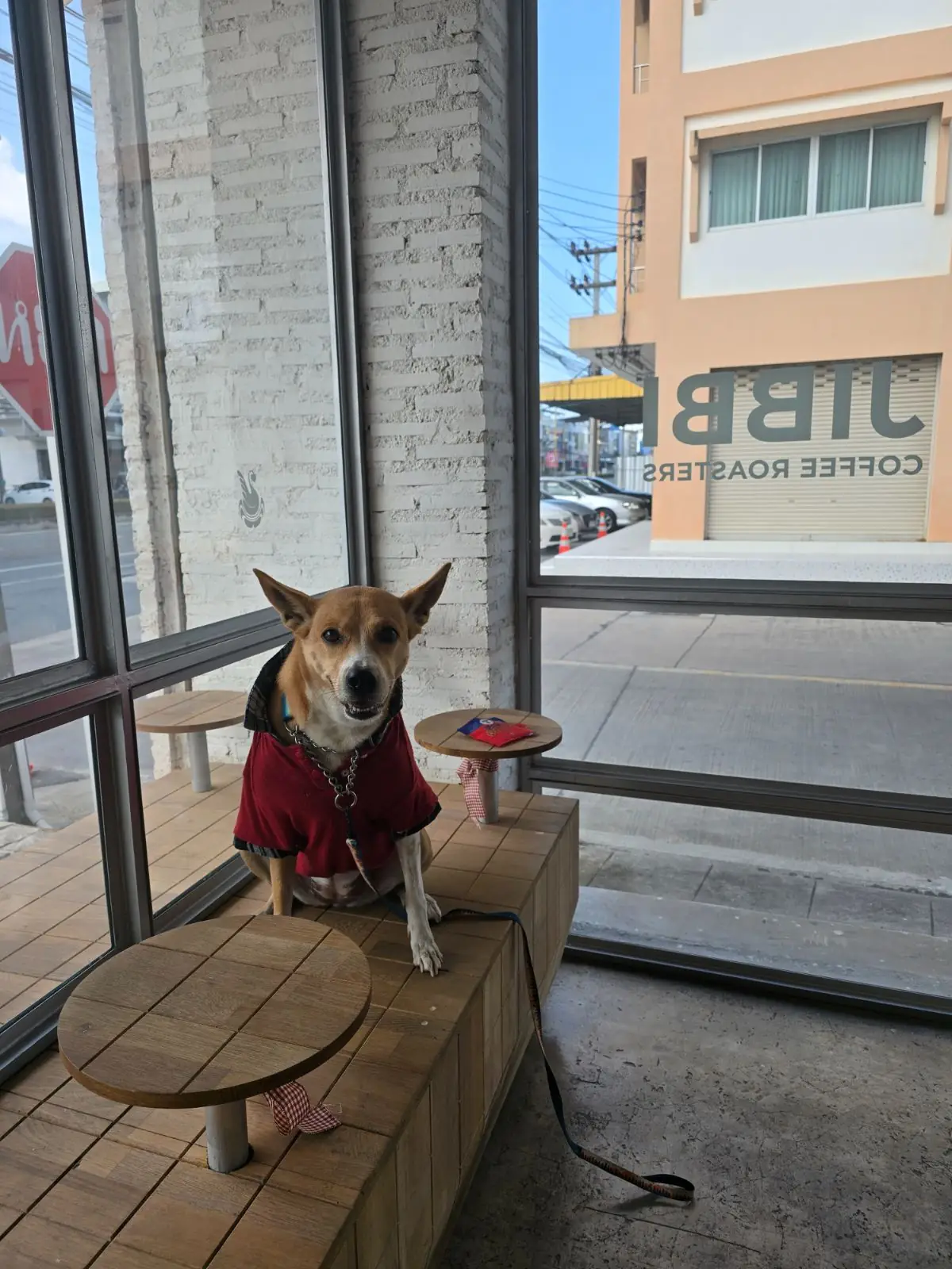 JIBBI COFFEE ROASTERS pets image 2