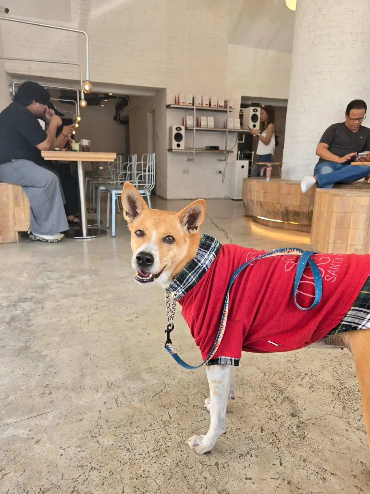 JIBBI COFFEE ROASTERS ambiance image 2