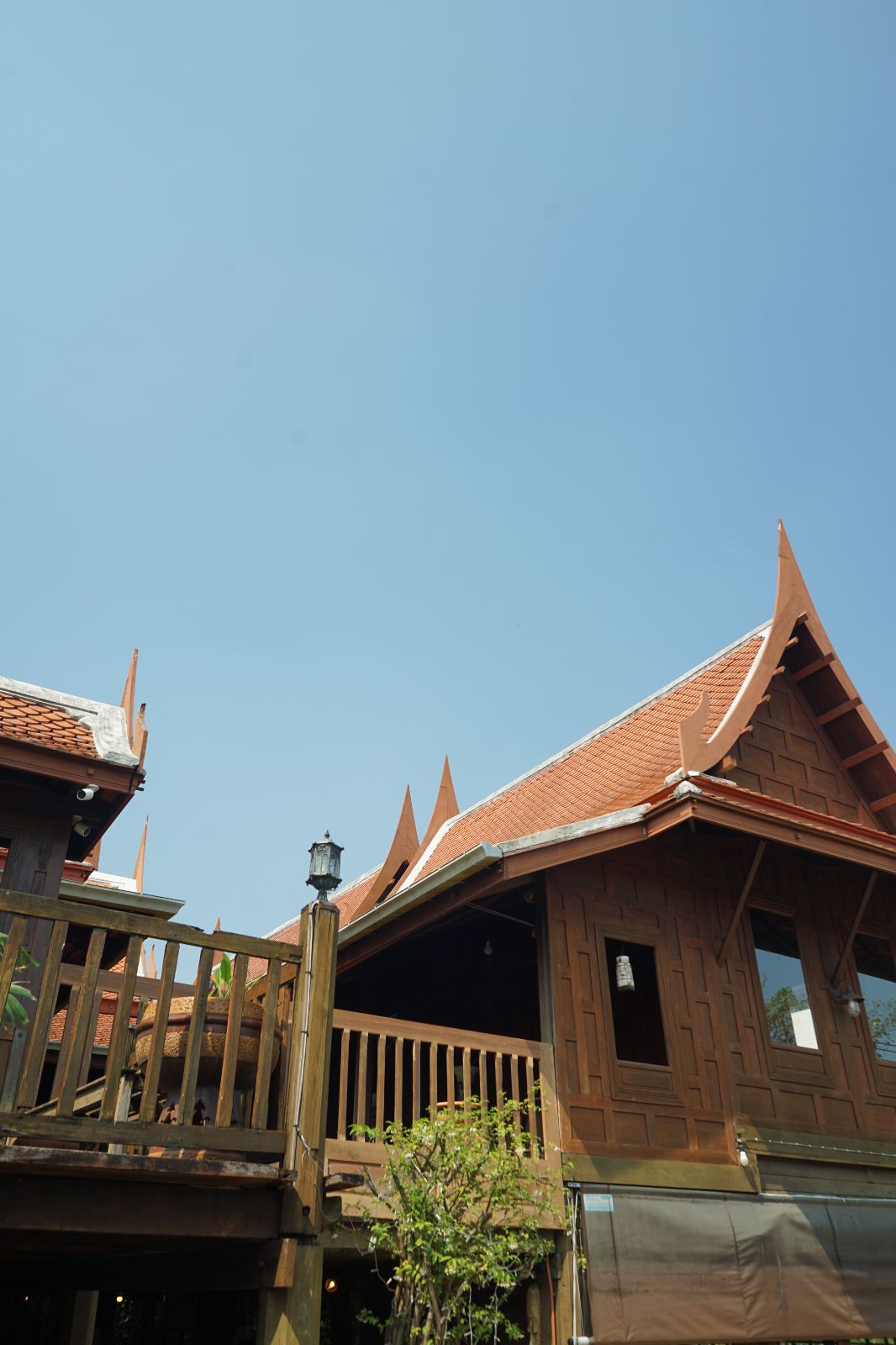 ไก่ย่างเสือใหญ่ กรุงเทพกรีฑา hero image 5