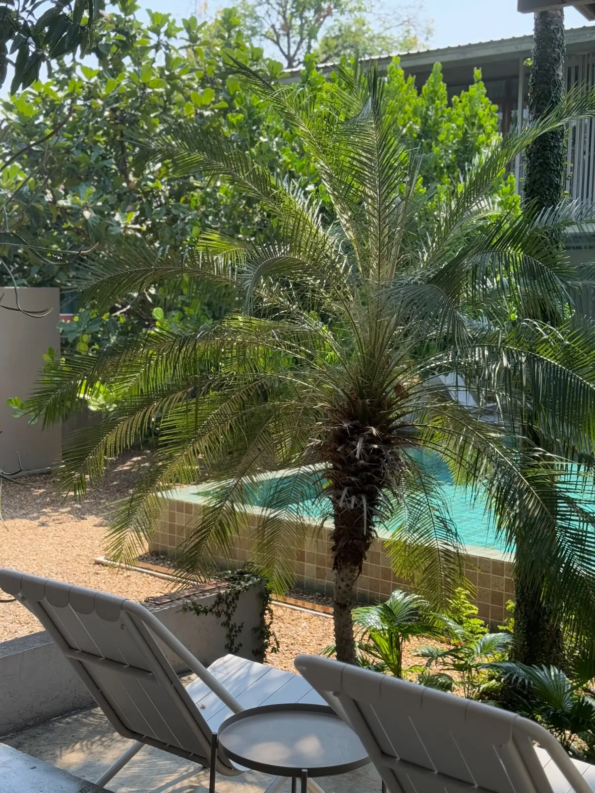 Sunkiss ambiance image 2